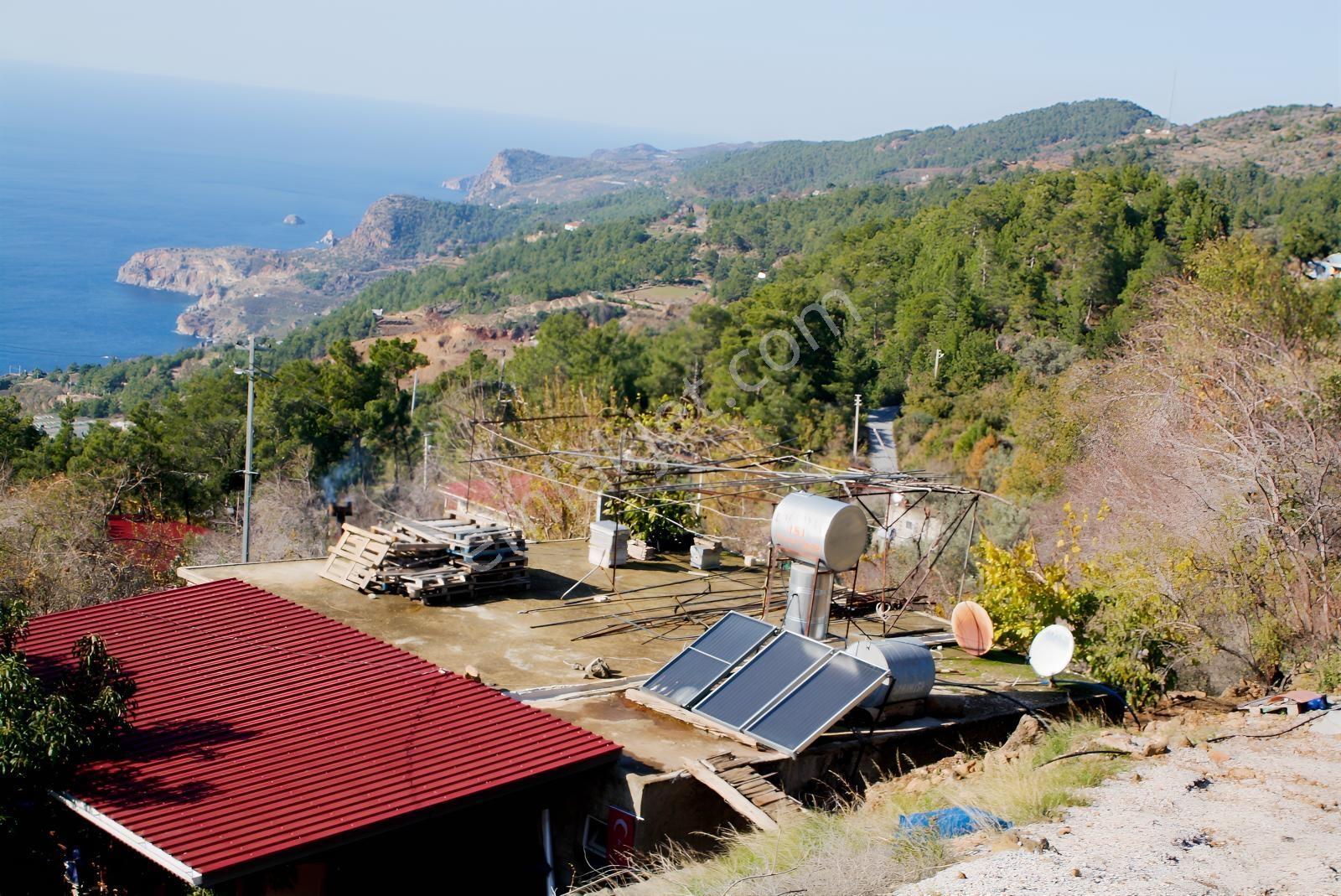 Gazipaşa Satılık Deniz Manzaralı 3 Villalık Arsa Zeytinada — fotoğraf 32