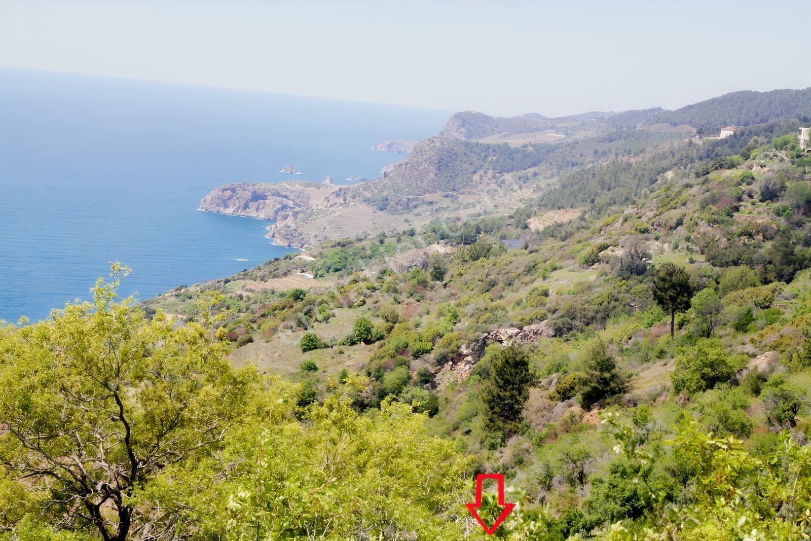 Gazipaşa Satılık Deniz Manzaralı 3 Villalık Arsa Zeytinada — fotoğraf 34