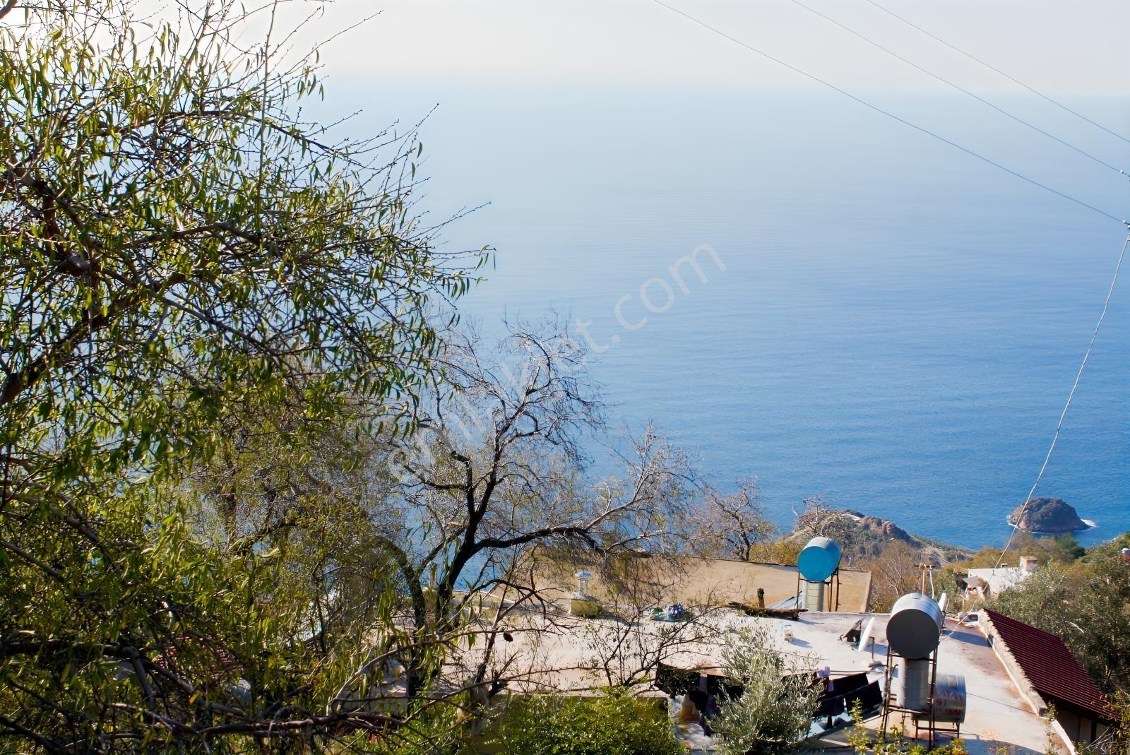 Gazipaşa Satılık Deniz Manzaralı 3 Villalık Arsa Zeytinada — fotoğraf 35