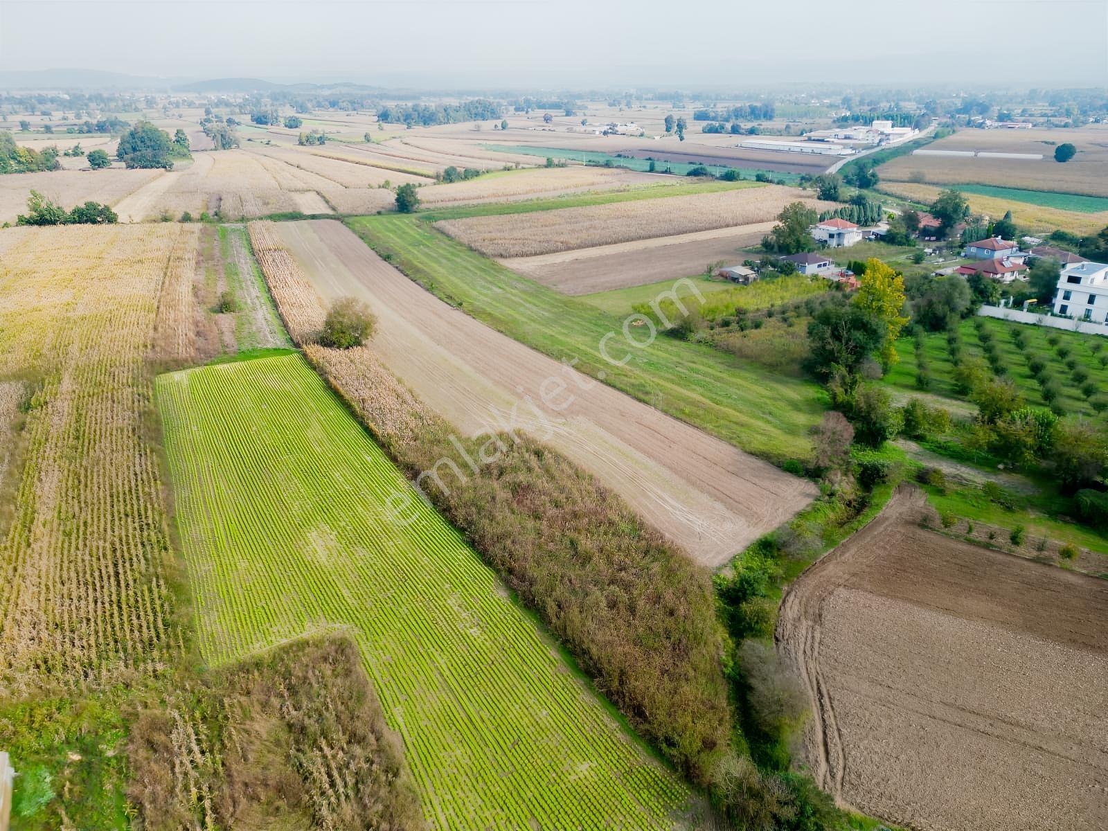 İlyaslarda 1210 M2 Satılık Yatırıma Ve Tarıma Uygun Tarla — fotoğraf 9