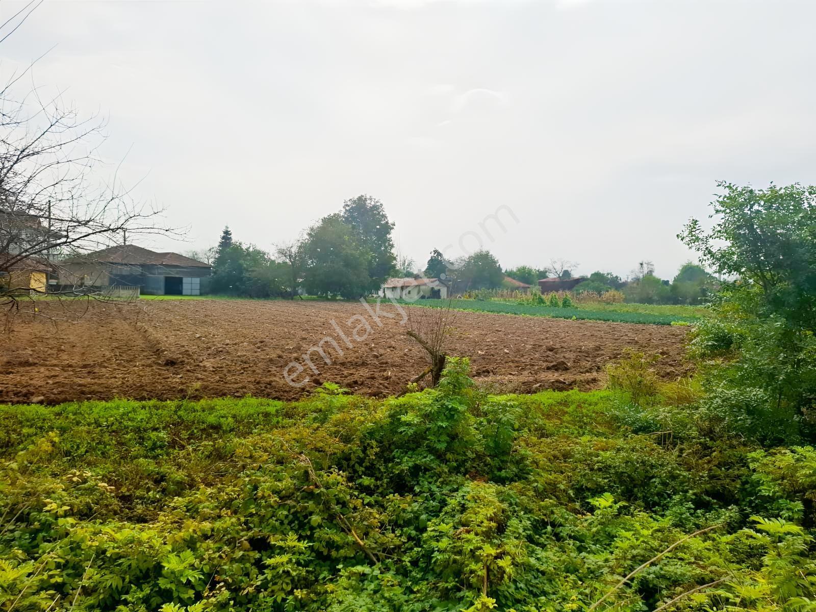 İlyaslarda 1210 M2 Satılık Yatırıma Ve Tarıma Uygun Tarla — fotoğraf 12