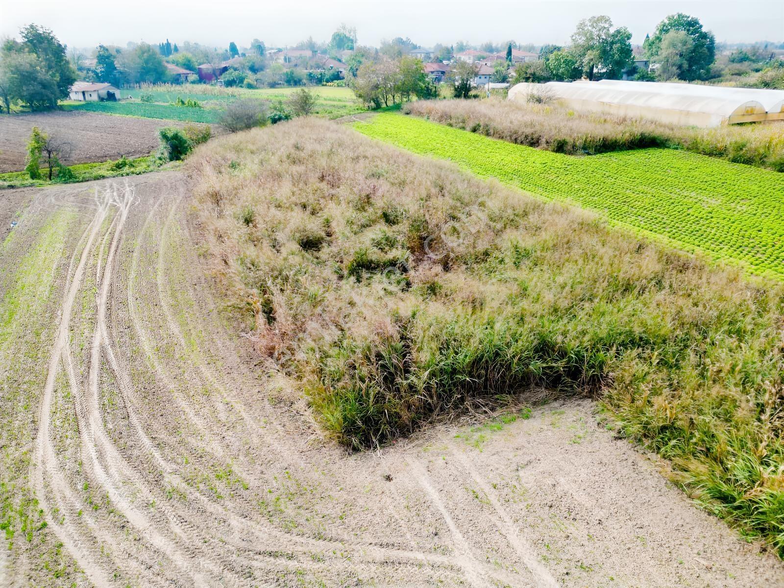 İlyaslarda 1210 M2 Satılık Yatırıma Ve Tarıma Uygun Tarla — fotoğraf 18