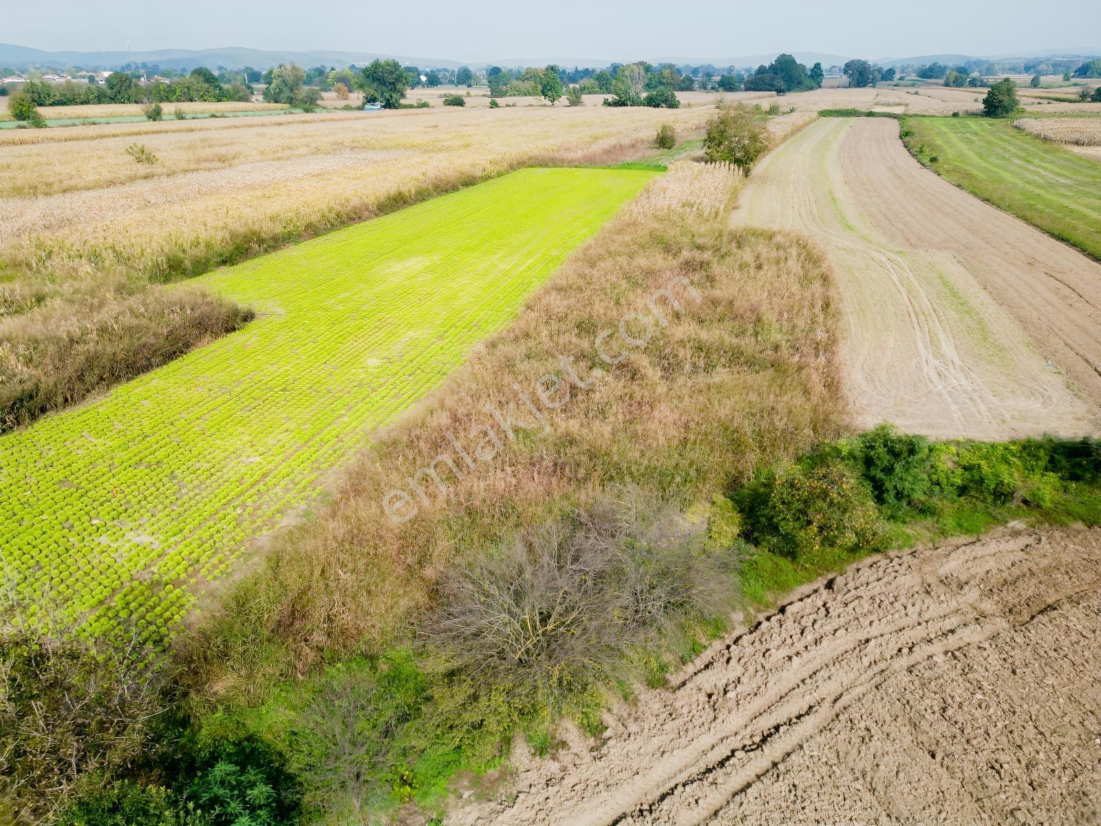İlyaslarda 1210 M2 Satılık Yatırıma Ve Tarıma Uygun Tarla — fotoğraf 19