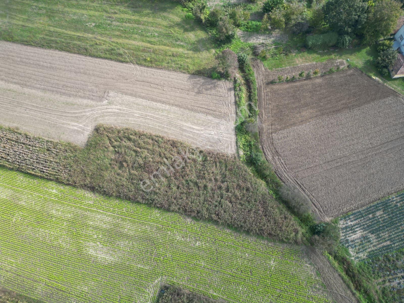 İlyaslarda 1210 M2 Satılık Yatırıma Ve Tarıma Uygun Tarla — fotoğraf 22