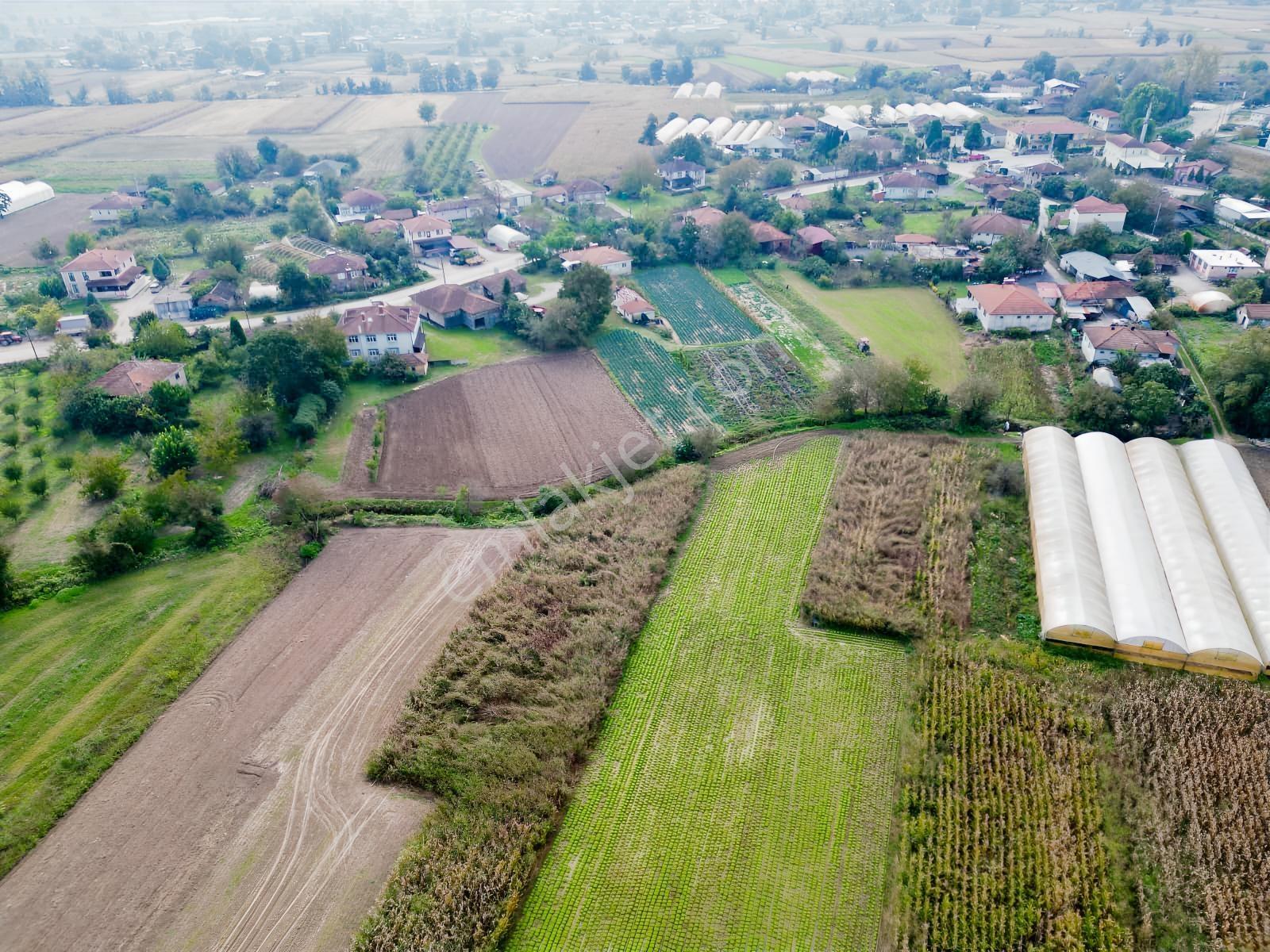 İlyaslarda 1210 M2 Satılık Yatırıma Ve Tarıma Uygun Tarla — fotoğraf 25