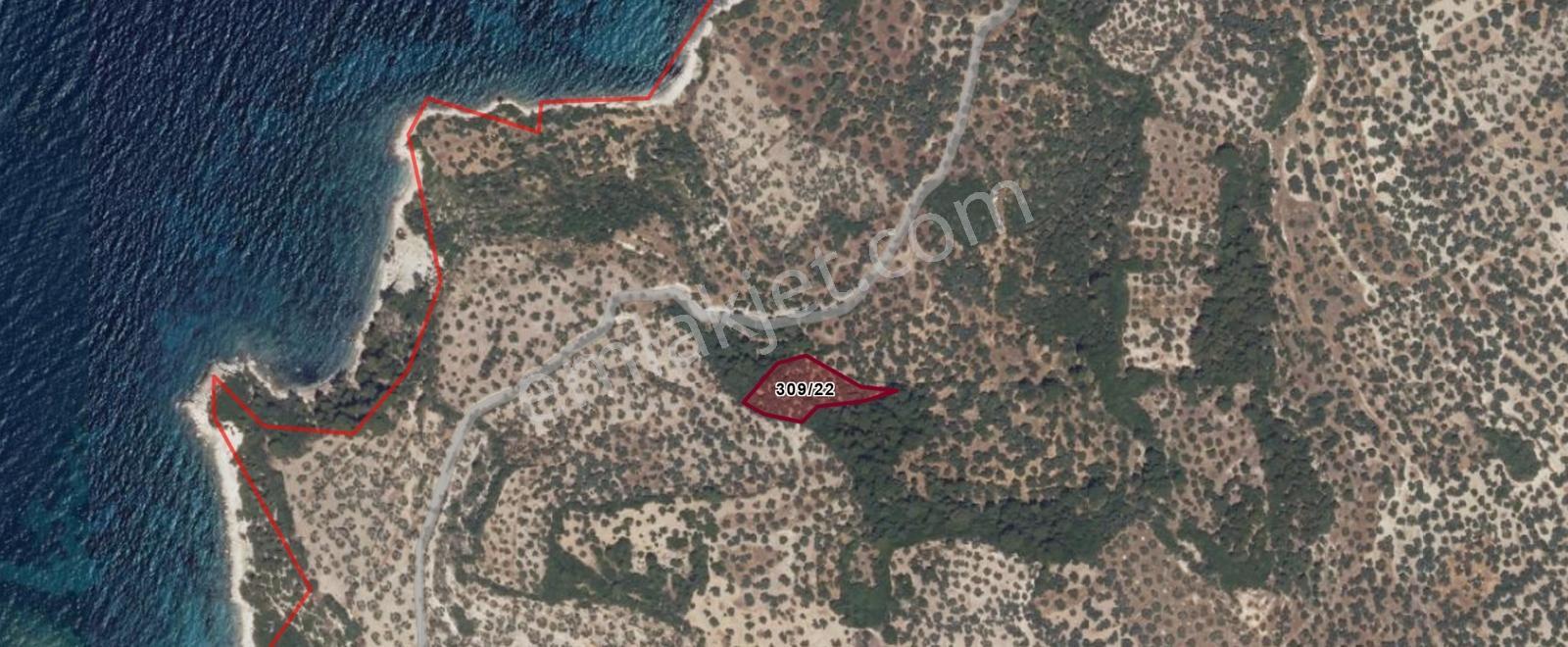 C.b. Route | Bademli | Denize 200 Metre | Değerli Bölgede Tarla — fotoğraf 2
