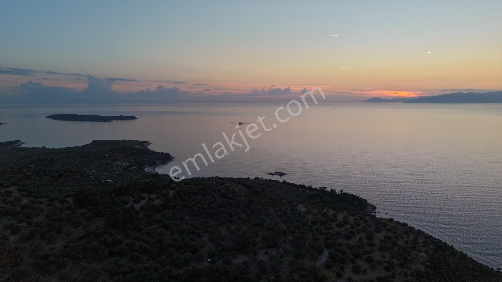 C.b. Route | Bademli | Denize 200 Metre | Değerli Bölgede Tarla — fotoğraf 5