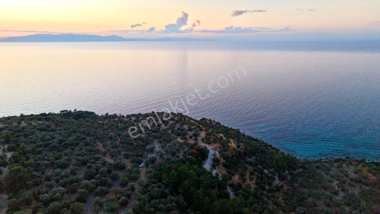 C.b. Route | Bademli | Denize 200 Metre | Değerli Bölgede Tarla — fotoğraf 7