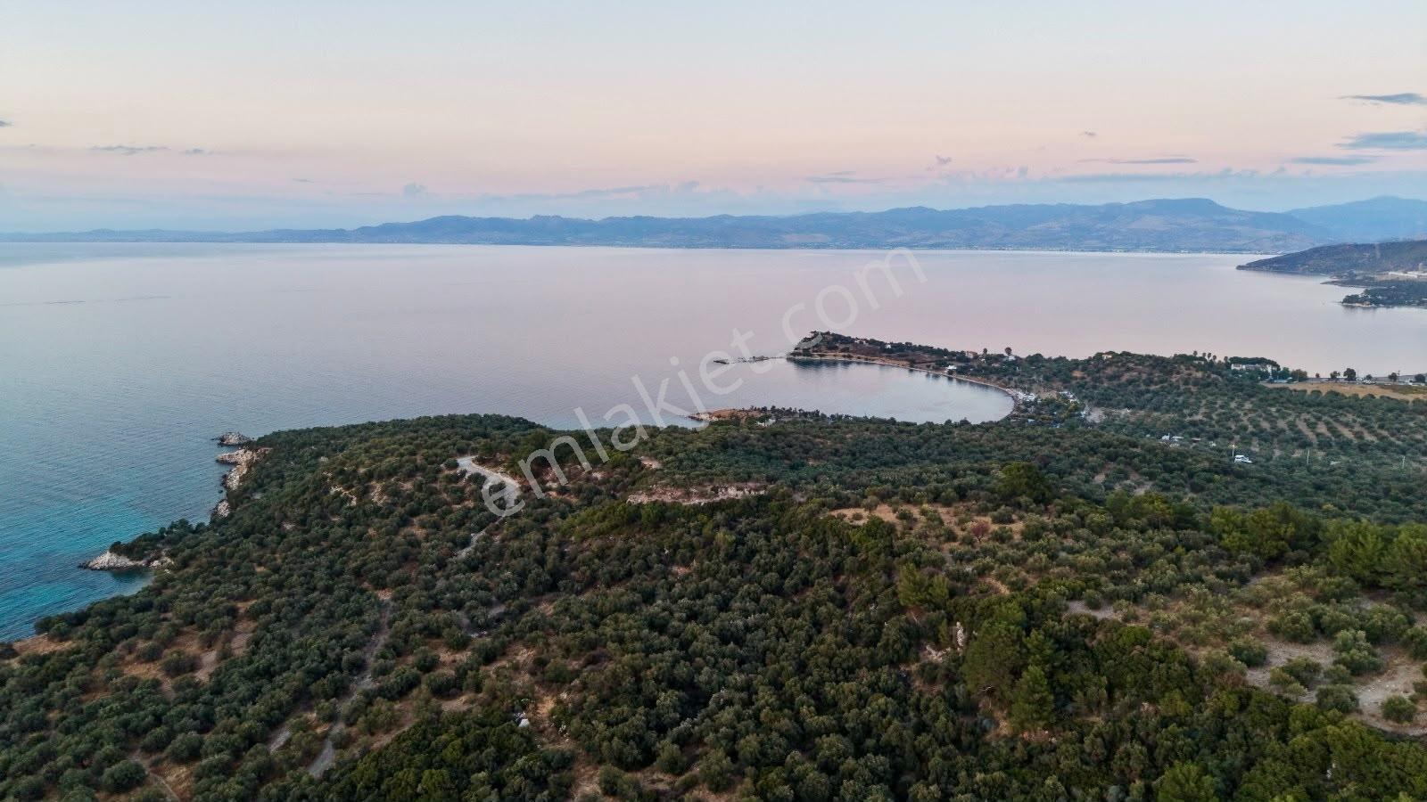C.b. Route | Bademli | Denize 200 Metre | Değerli Bölgede Tarla — fotoğraf 8