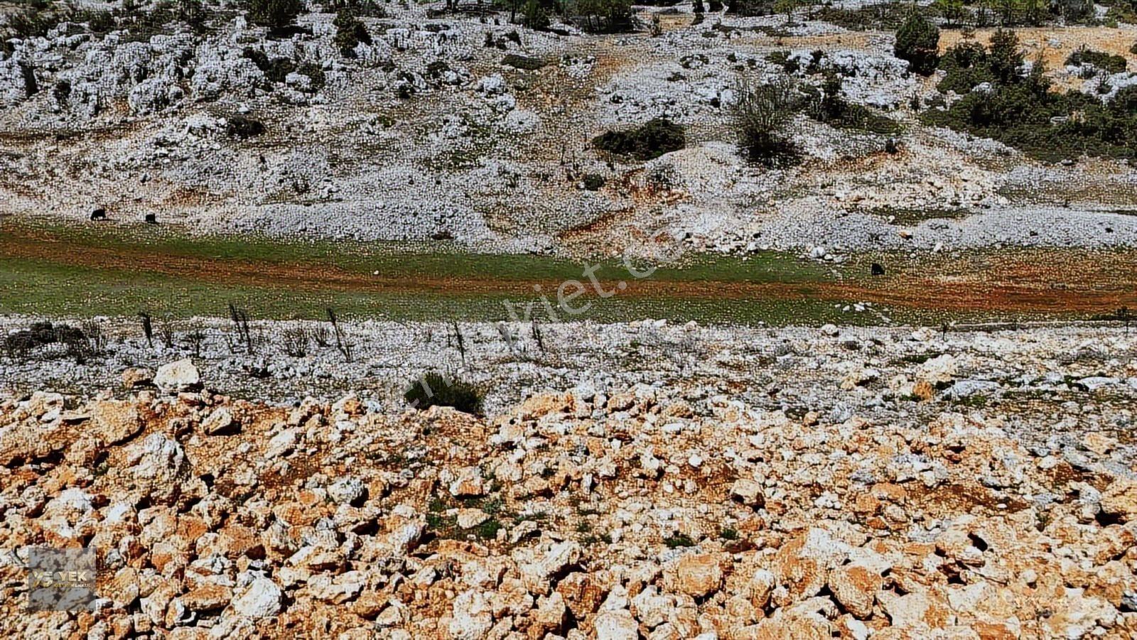 Erdemli Koramşalı Arkıt Mevki Ayrancı Yolu Üzeri Arsa — fotoğraf 9