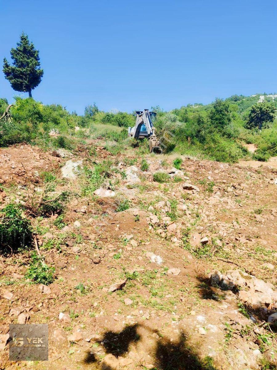 Erdemli Hüsametlide Satılık Kelepir Tarla — fotoğraf 3