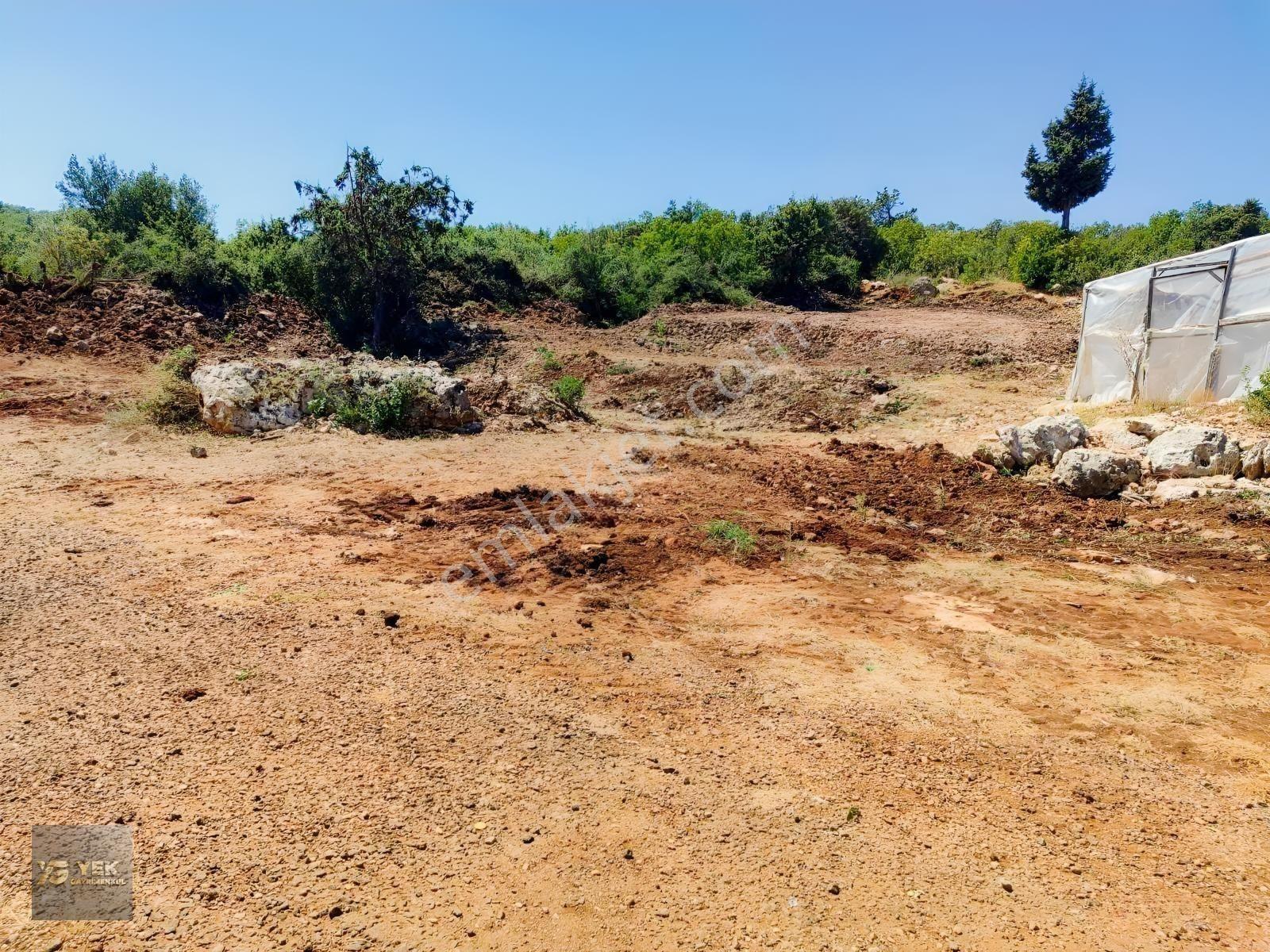 Erdemli Hüsametlide Satılık Kelepir Tarla — fotoğraf 5