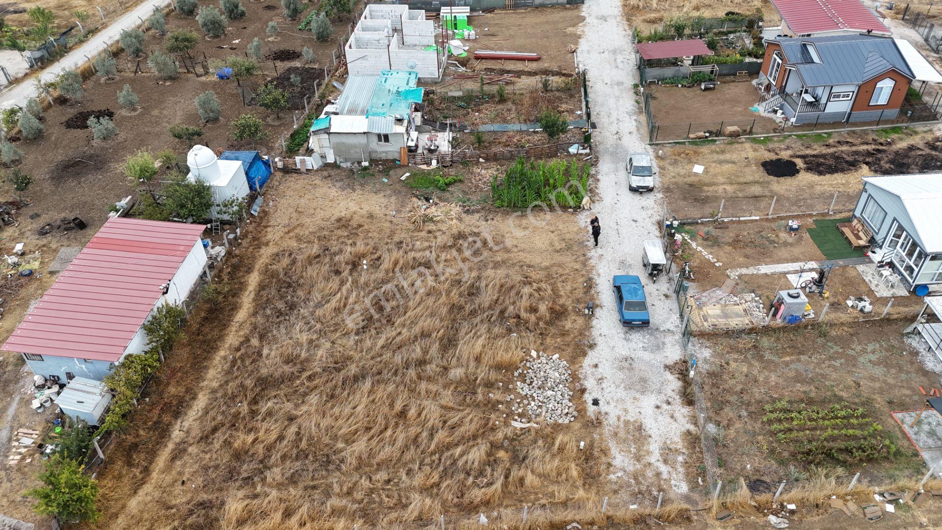 İzmir Menderes Tekelide Elektrik Sulu 250 M2 Koopretif Tapulu Bahçeler — fotoğraf 6