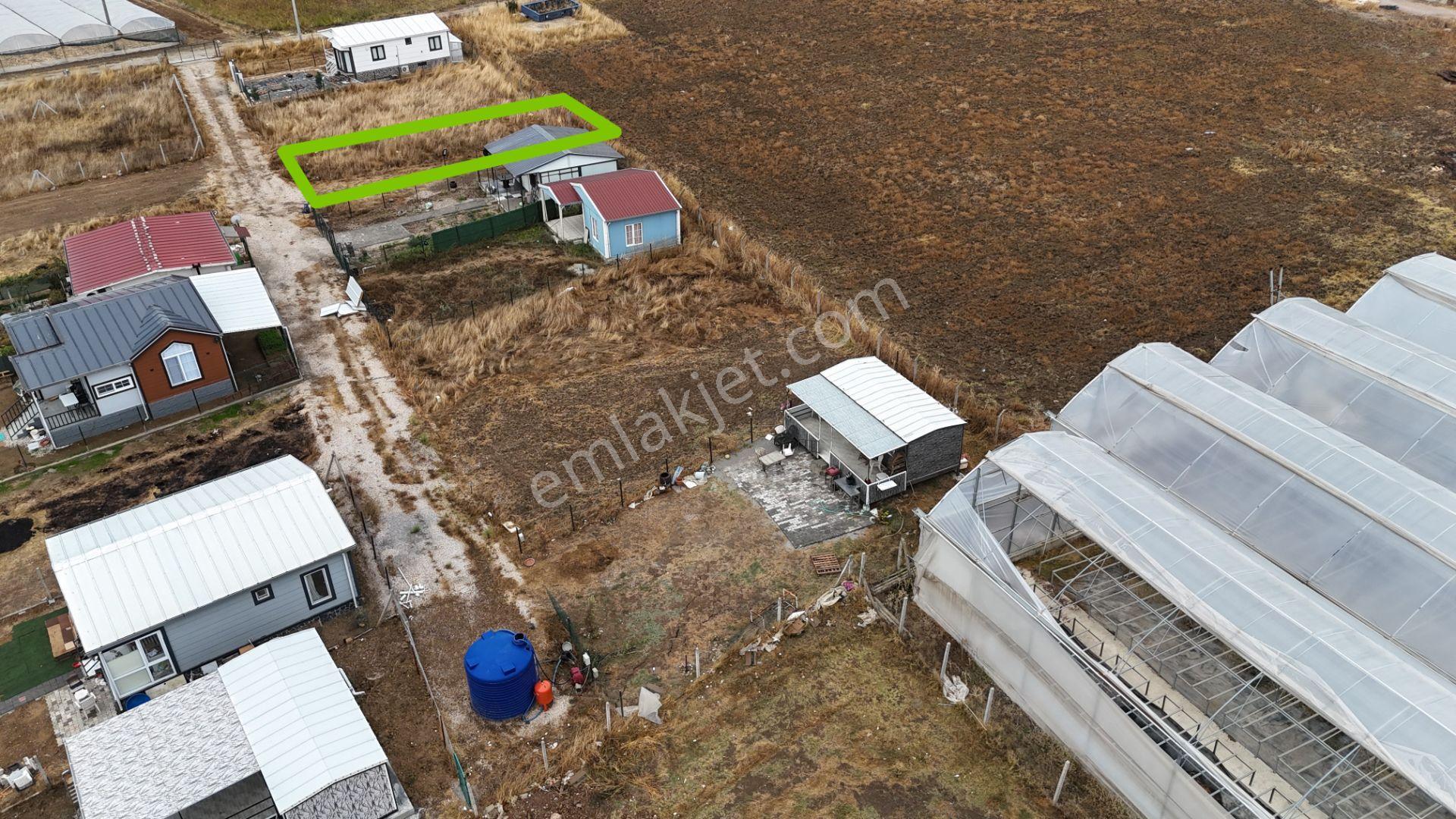 İzmir Menderes Tekelide Elektrik Sulu 250 M2 Koopretif Tapulu Bahçeler — fotoğraf 8