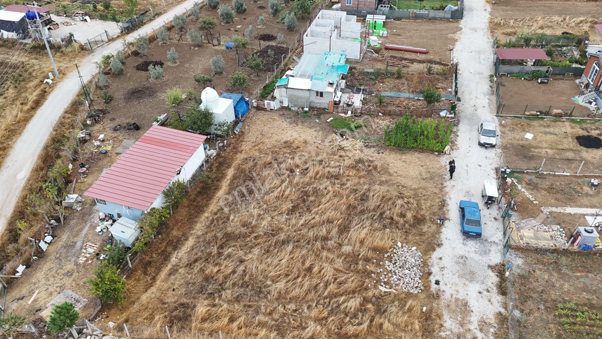 İzmir Menderes Tekelide Elektrik Sulu 250 M2 Koopretif Tapulu Bahçeler — fotoğraf 9