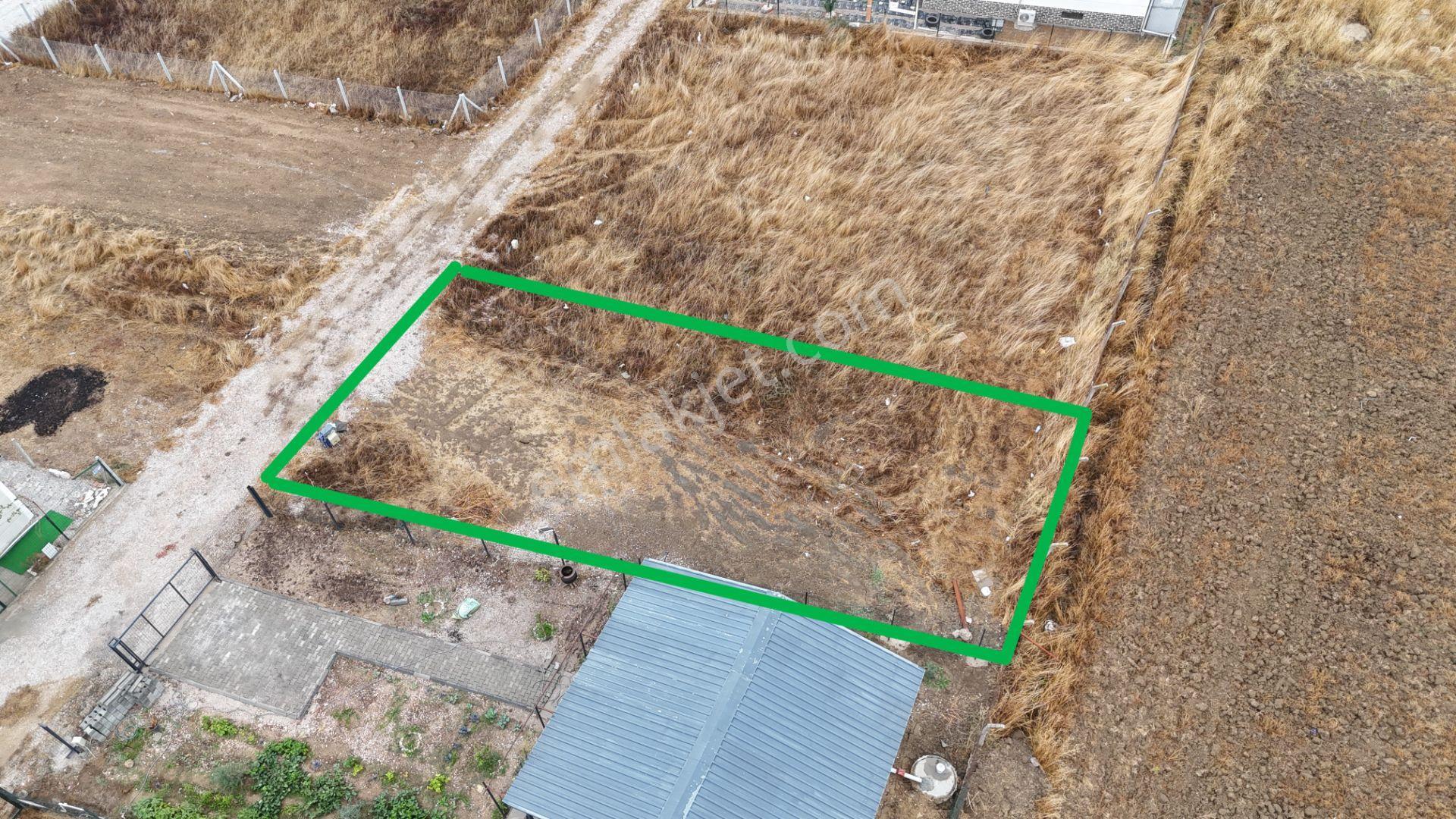 İzmir Menderes Tekelide Elektrik Sulu 250 M2 Koopretif Tapulu Bahçeler — fotoğraf 10