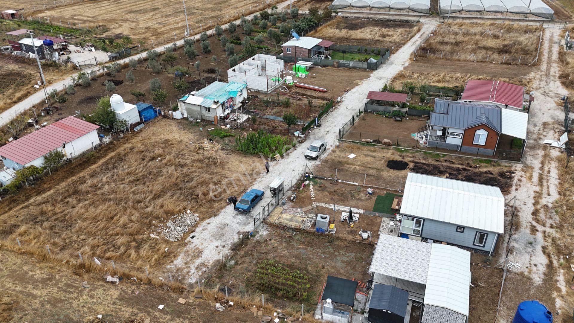 İzmir Menderes Tekelide Elektrik Sulu 250 M2 Koopretif Tapulu Bahçeler — fotoğraf 13