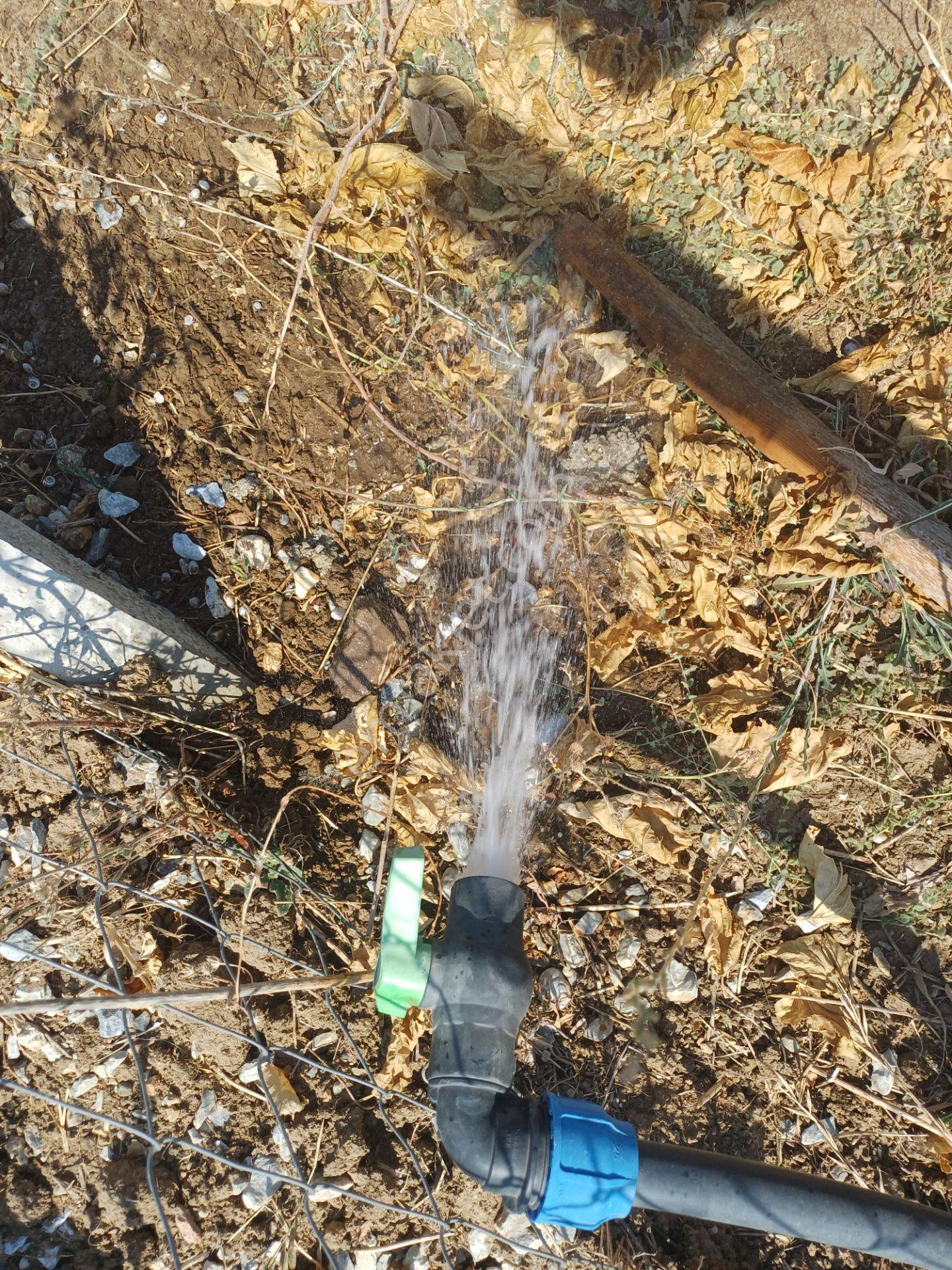 İzmir Menderes Tekelide Elektrik Sulu 250 M2 Koopretif Tapulu Bahçeler — fotoğraf 15