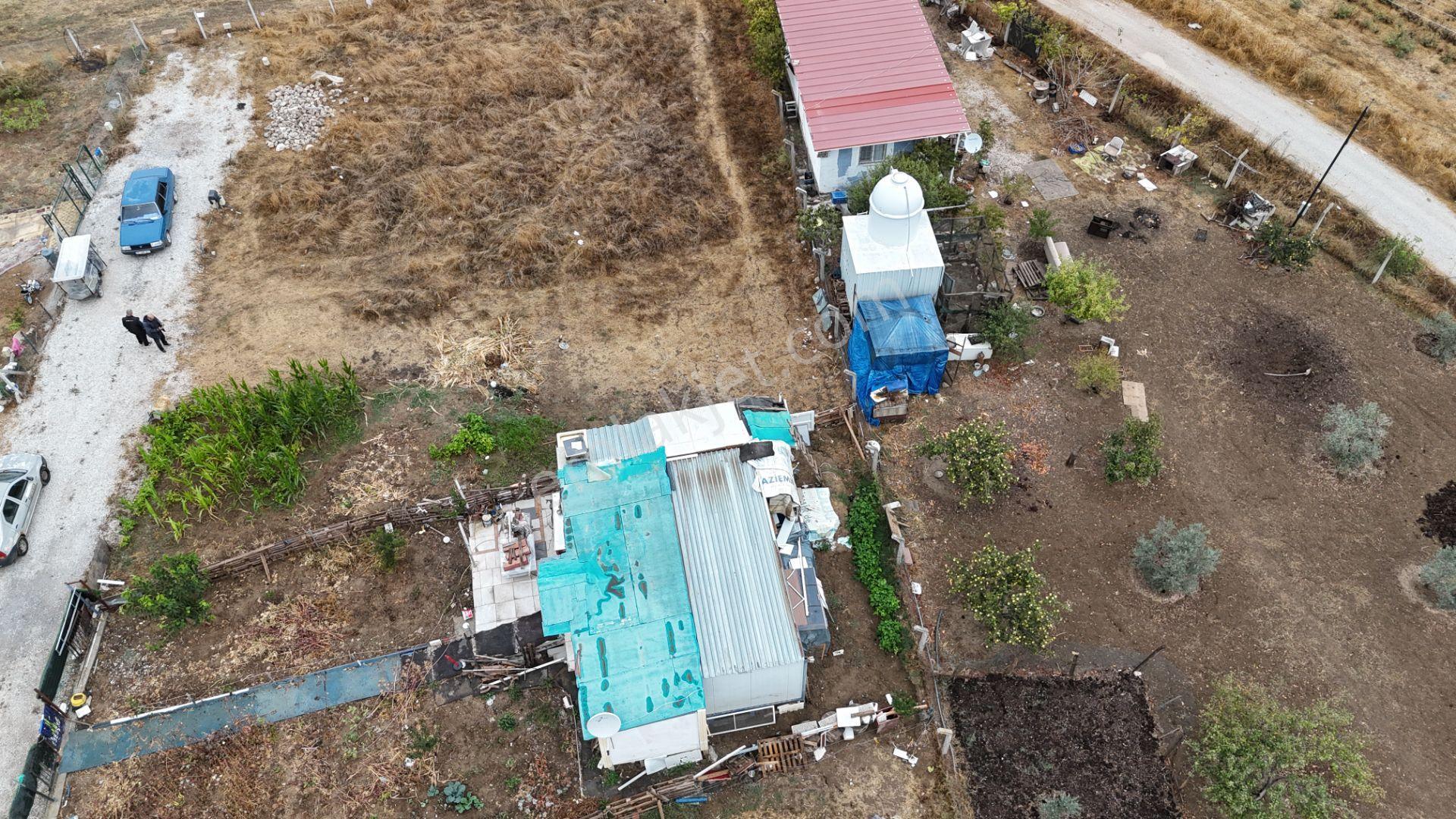 İzmir Menderes Tekelide Elektrik Sulu 250 M2 Koopretif Tapulu Bahçeler — fotoğraf 16
