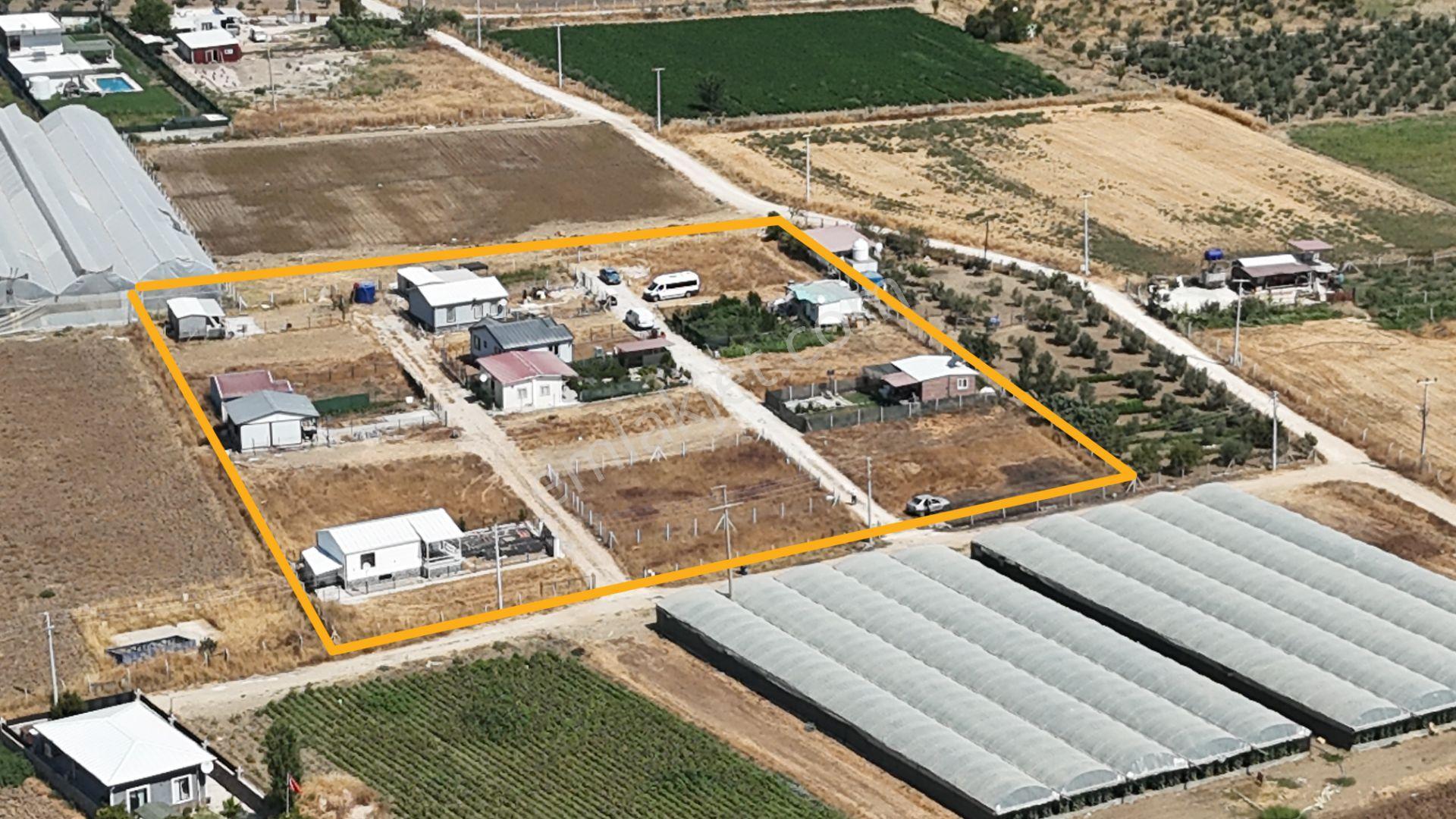 İzmir Menderes Tekelide Elektrik Sulu 250 M2 Koopretif Tapulu Bahçeler — fotoğraf 17