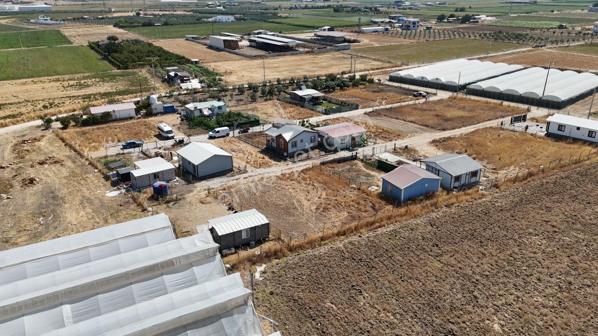 İzmir Menderes Tekelide Elektrik Sulu 250 M2 Koopretif Tapulu Bahçeler — fotoğraf 18