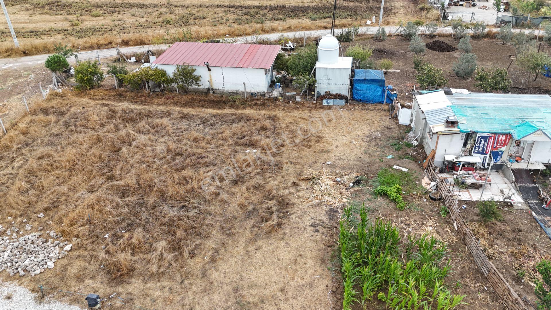 İzmir Menderes Tekelide Elektrik Sulu 250 M2 Koopretif Tapulu Bahçeler — fotoğraf 19
