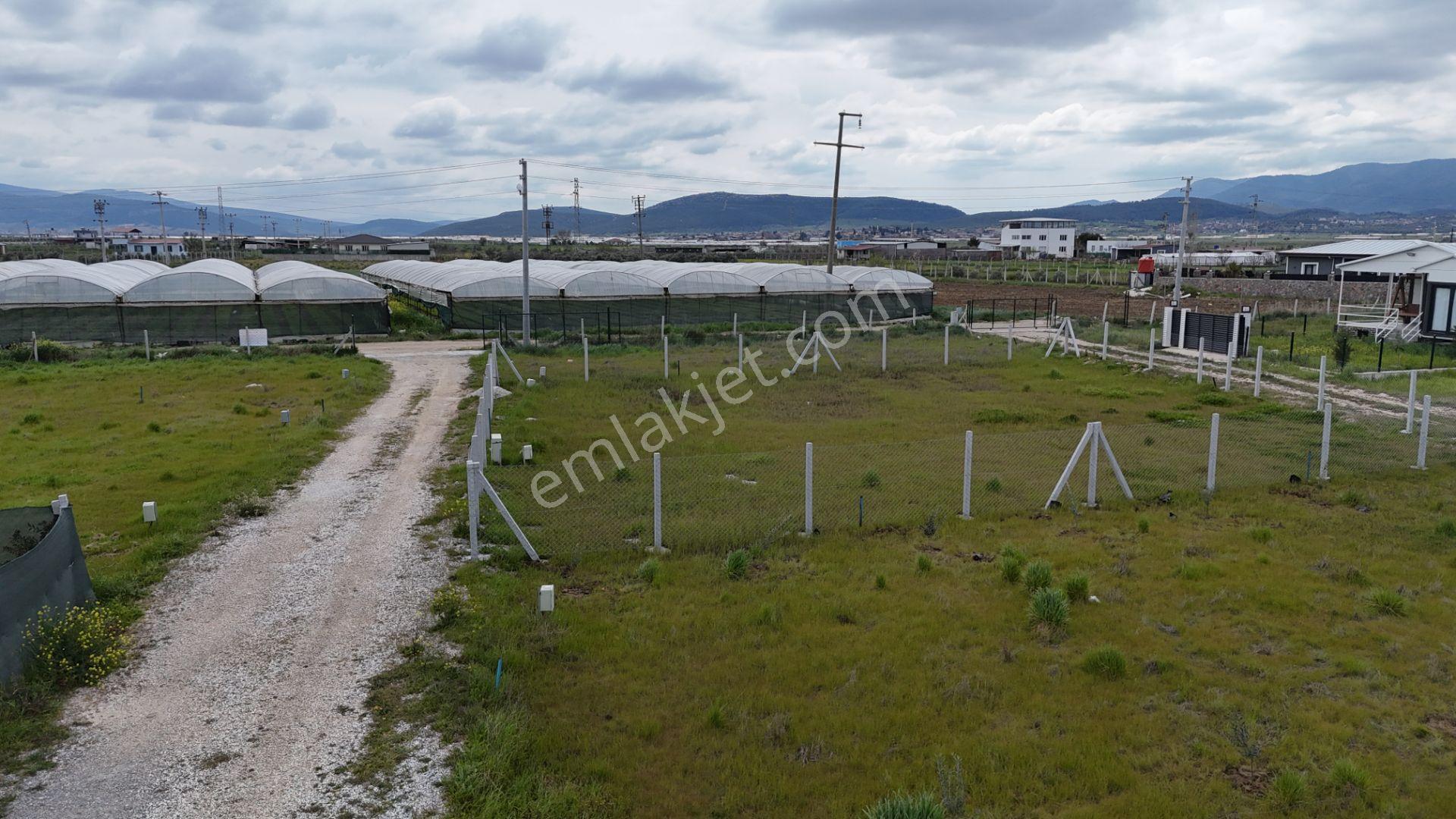 İzmir Menderes Tekelide Elektrik Sulu 250 M2 Koopretif Tapulu Bahçeler — fotoğraf 24