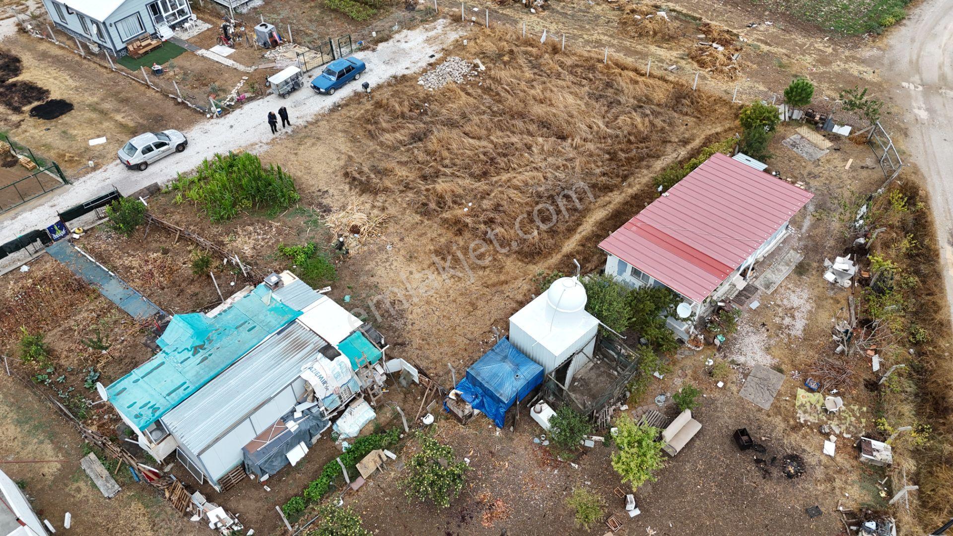İzmir Menderes Tekelide Elektrik Sulu 250 M2 Koopretif Tapulu Bahçeler — fotoğraf 25