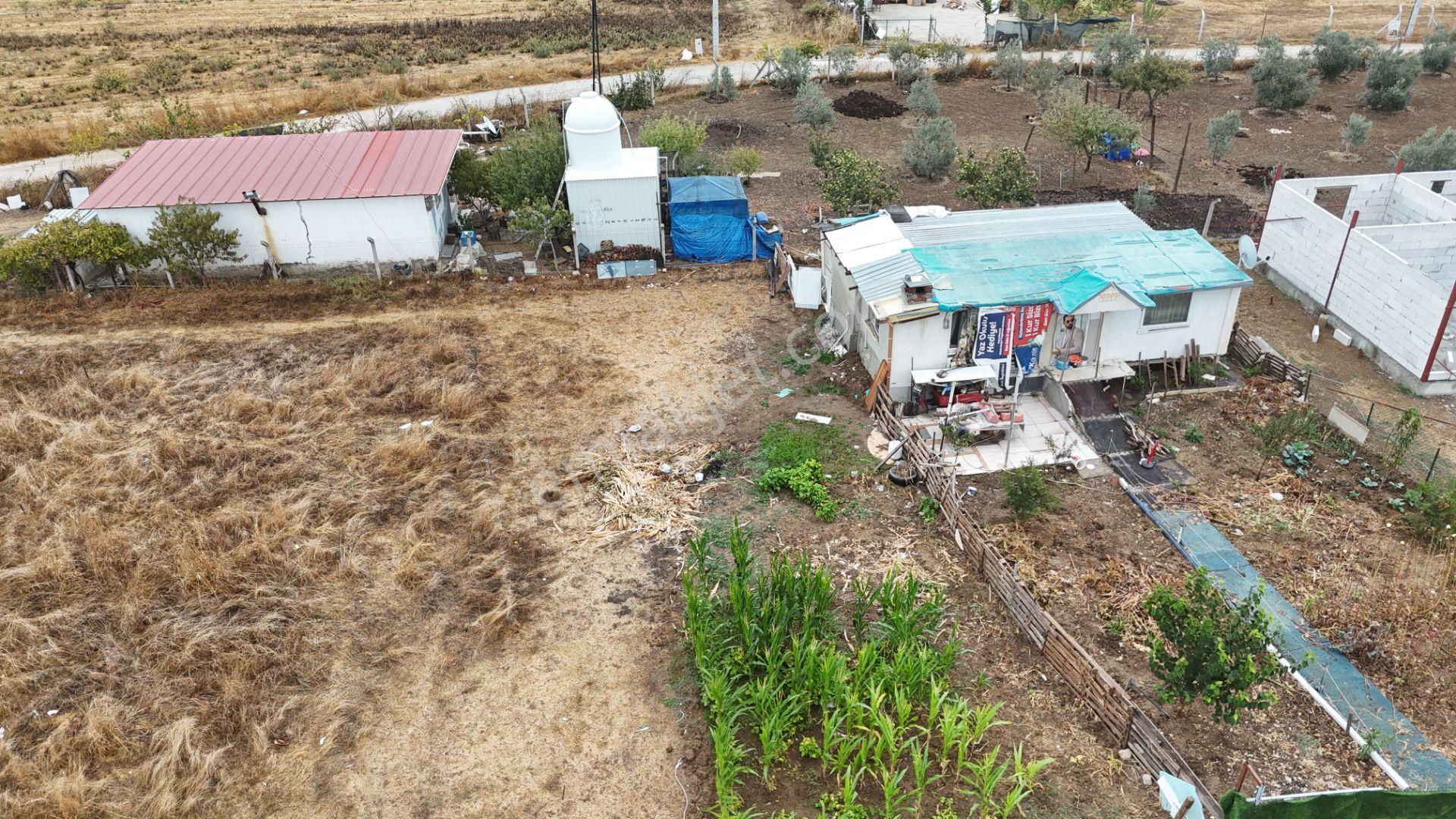 İzmir Menderes Tekelide Elektrik Sulu 250 M2 Koopretif Tapulu Bahçeler — fotoğraf 26