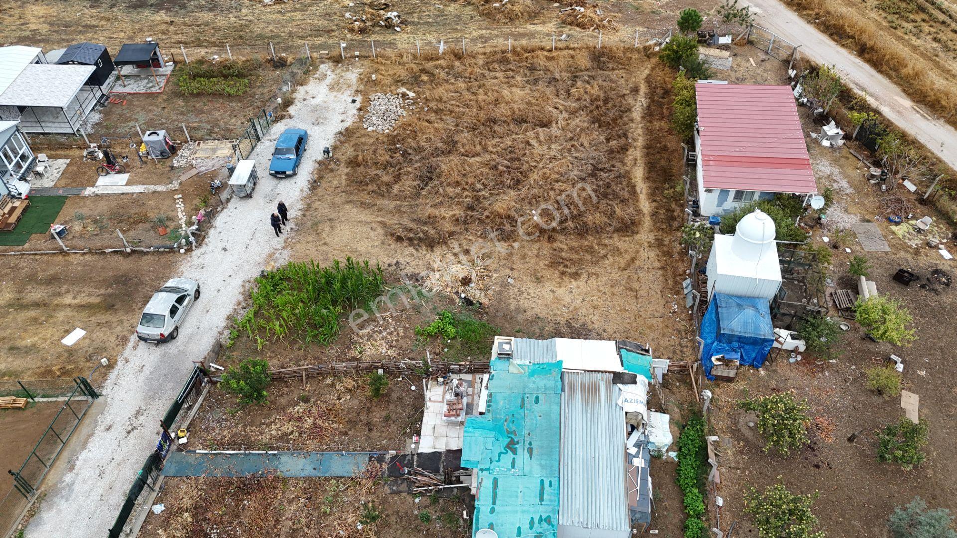İzmir Menderes Tekelide Elektrik Sulu 250 M2 Koopretif Tapulu Bahçeler — fotoğraf 28