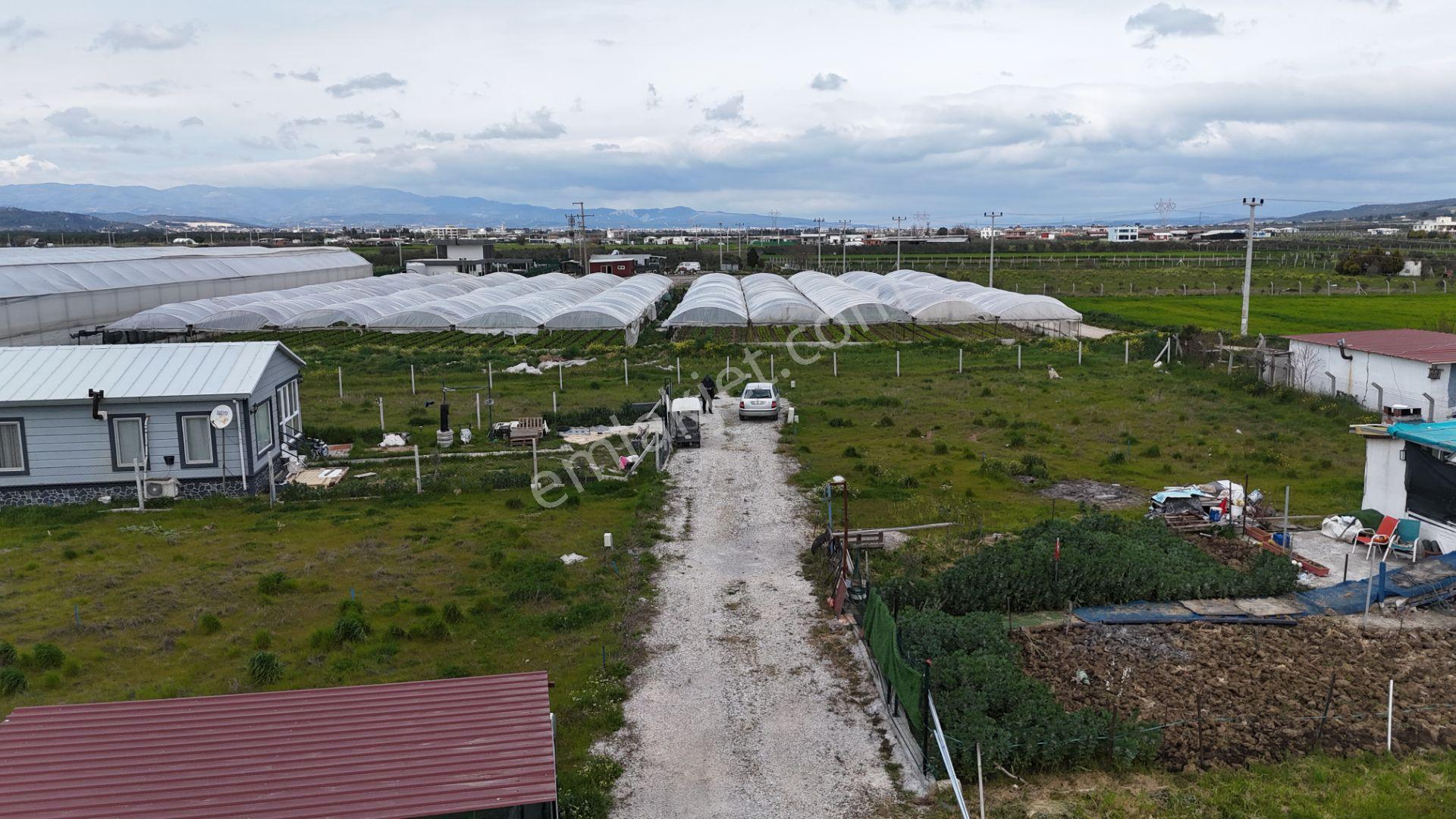 İzmir Menderes Tekelide Elektrik Sulu 250 M2 Koopretif Tapulu Bahçeler — fotoğraf 29
