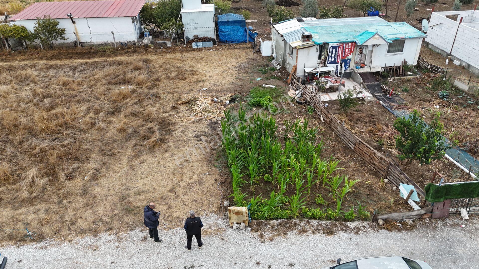 İzmir Menderes Tekelide Elektrik Sulu 250 M2 Koopretif Tapulu Bahçeler — fotoğraf 30
