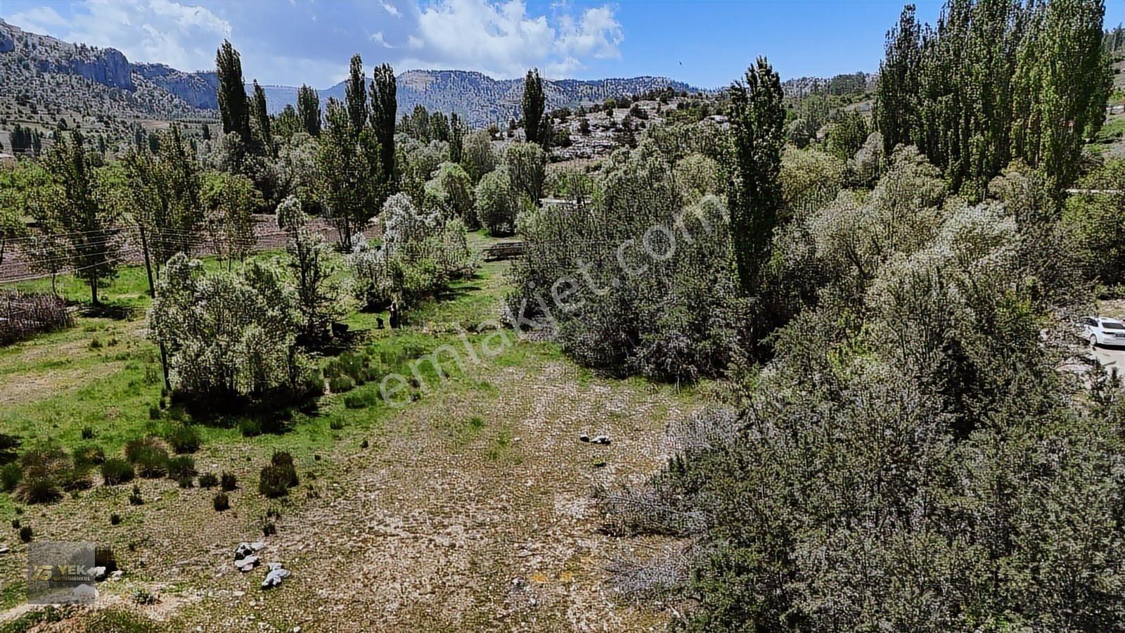 Erdemli Sorgun Mahallesi Yaylalık Arsa — fotoğraf 2
