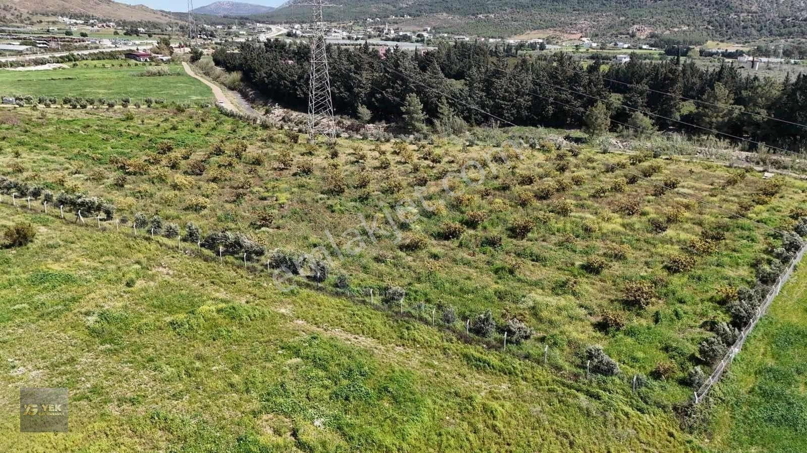 Mersin Silifke Yeşilovacıkta Eşsiz Yatırımlık Fırsatı — fotoğraf 14
