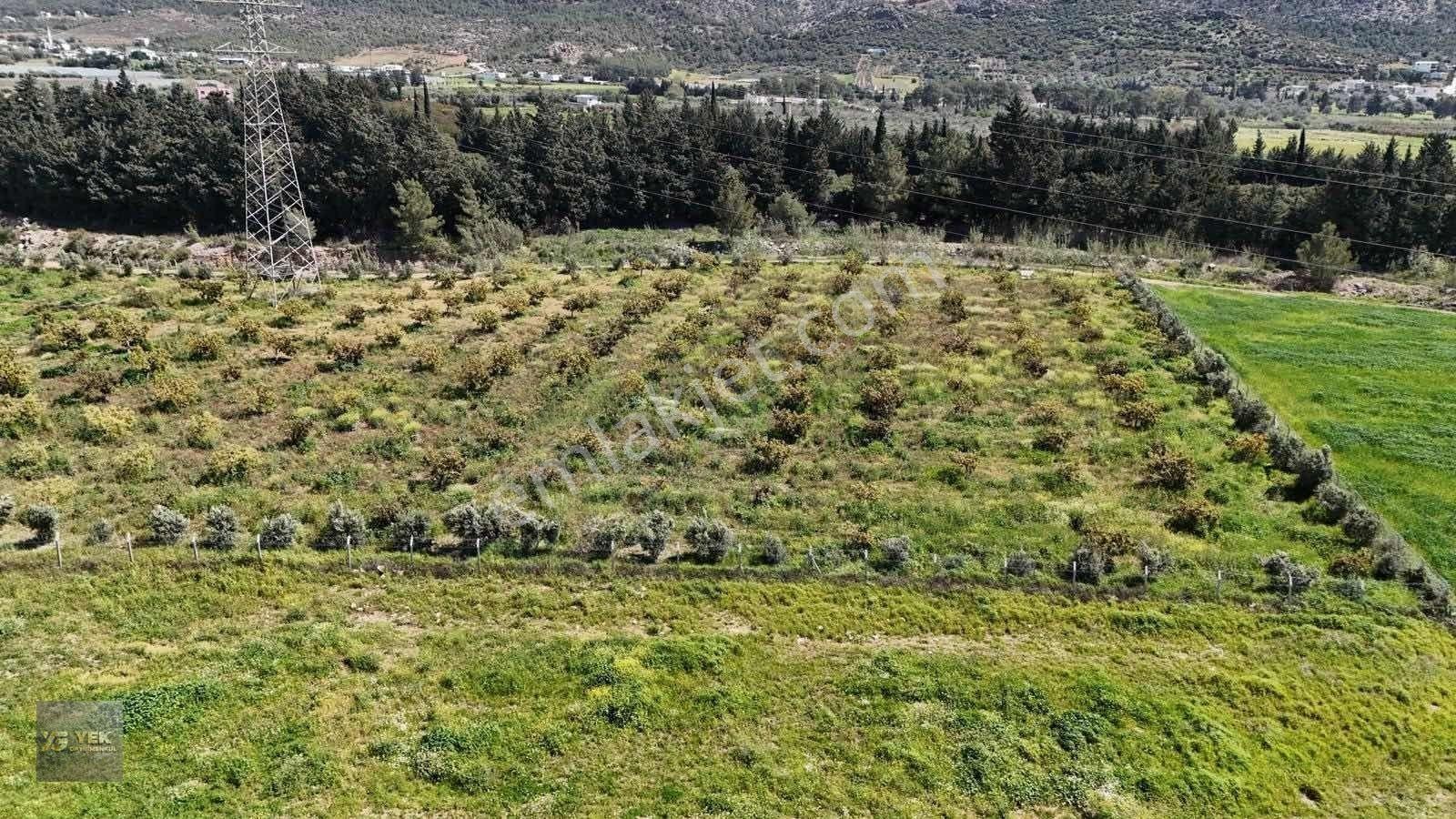 Mersin Silifke Yeşilovacıkta Eşsiz Yatırımlık Fırsatı — fotoğraf 15