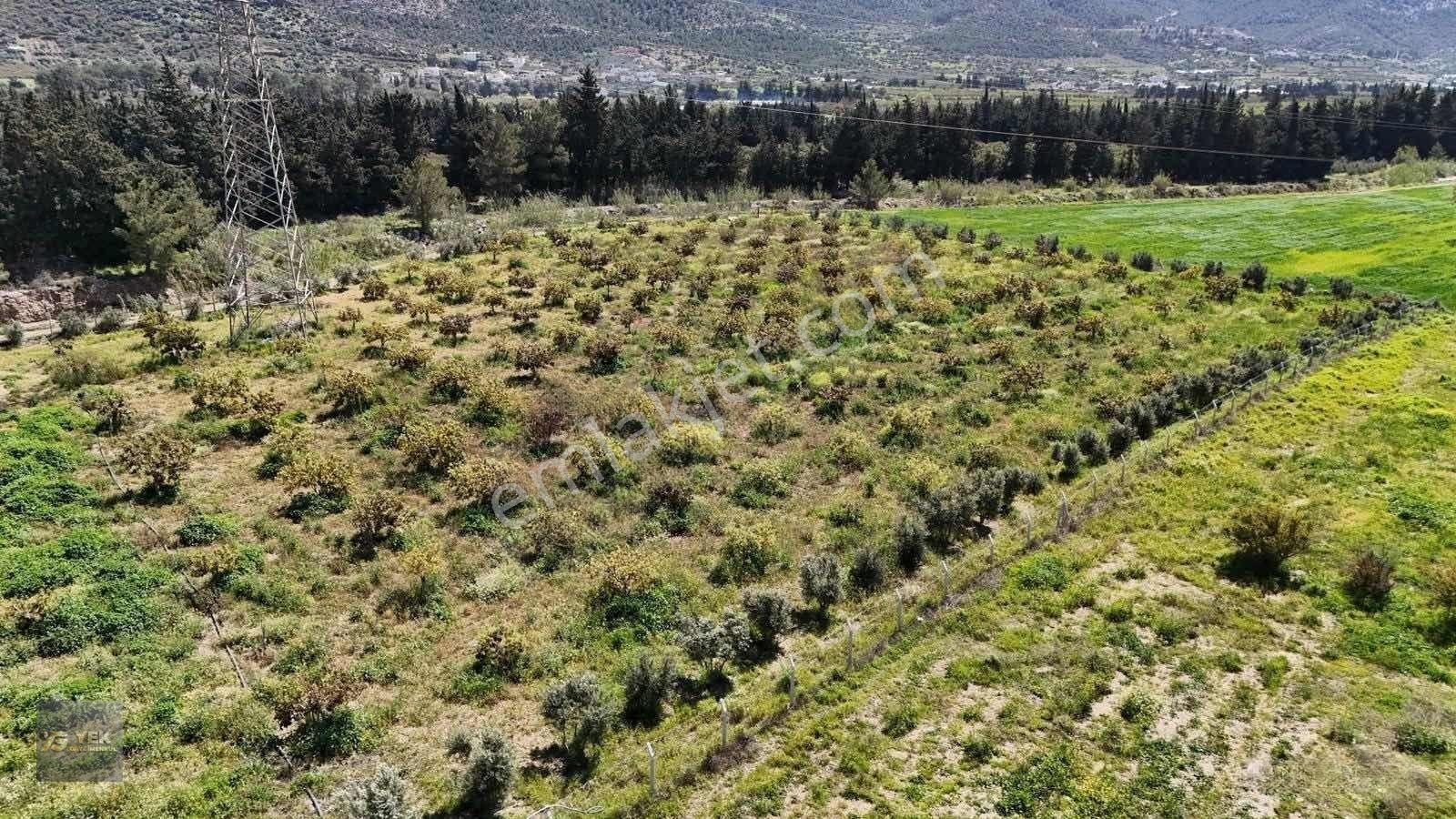 Mersin Silifke Yeşilovacıkta Eşsiz Yatırımlık Fırsatı — fotoğraf 16