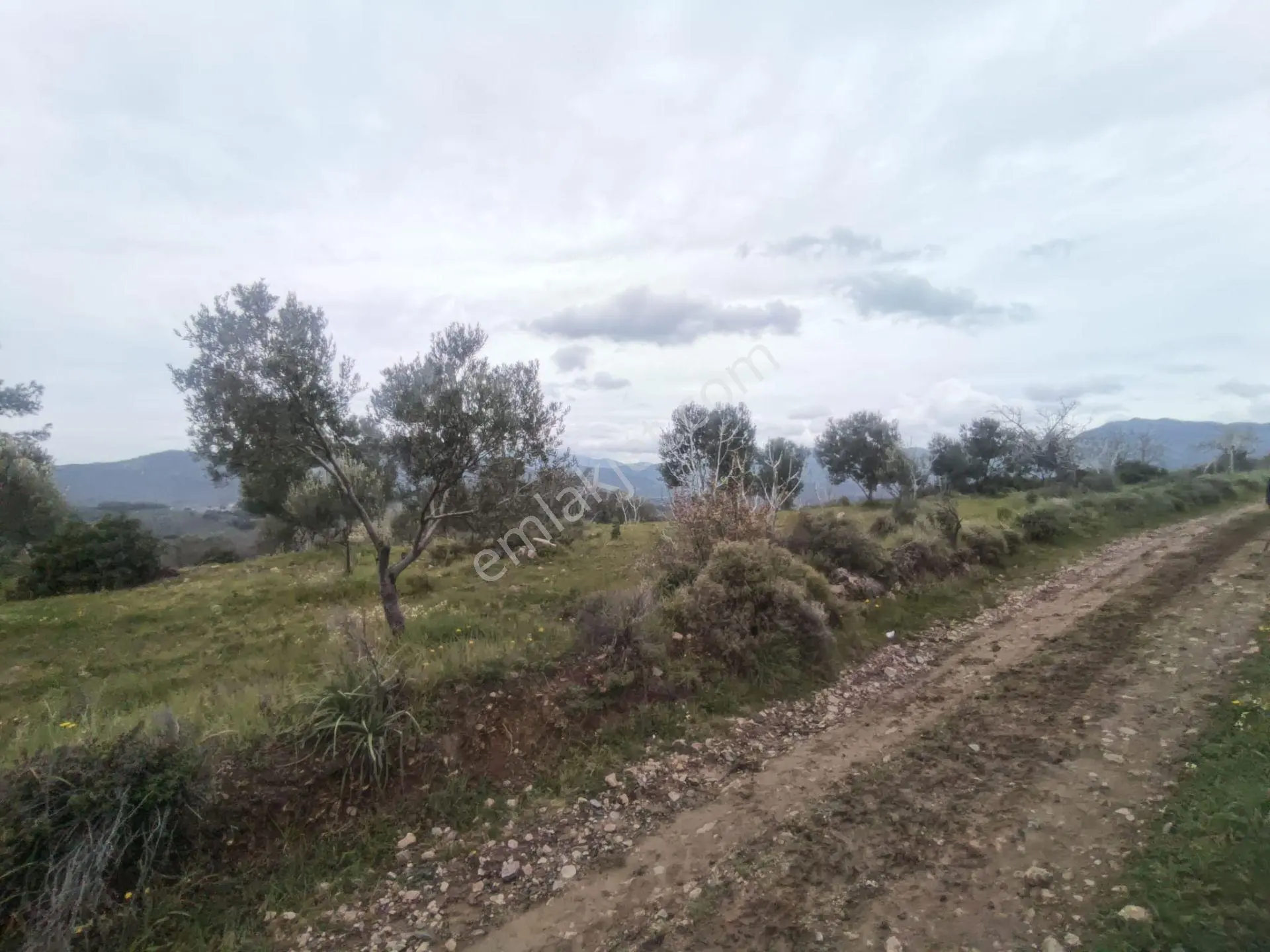 Edremit'te Deniz Manzaralı Satılık Tarla 1520m² — fotoğraf 17