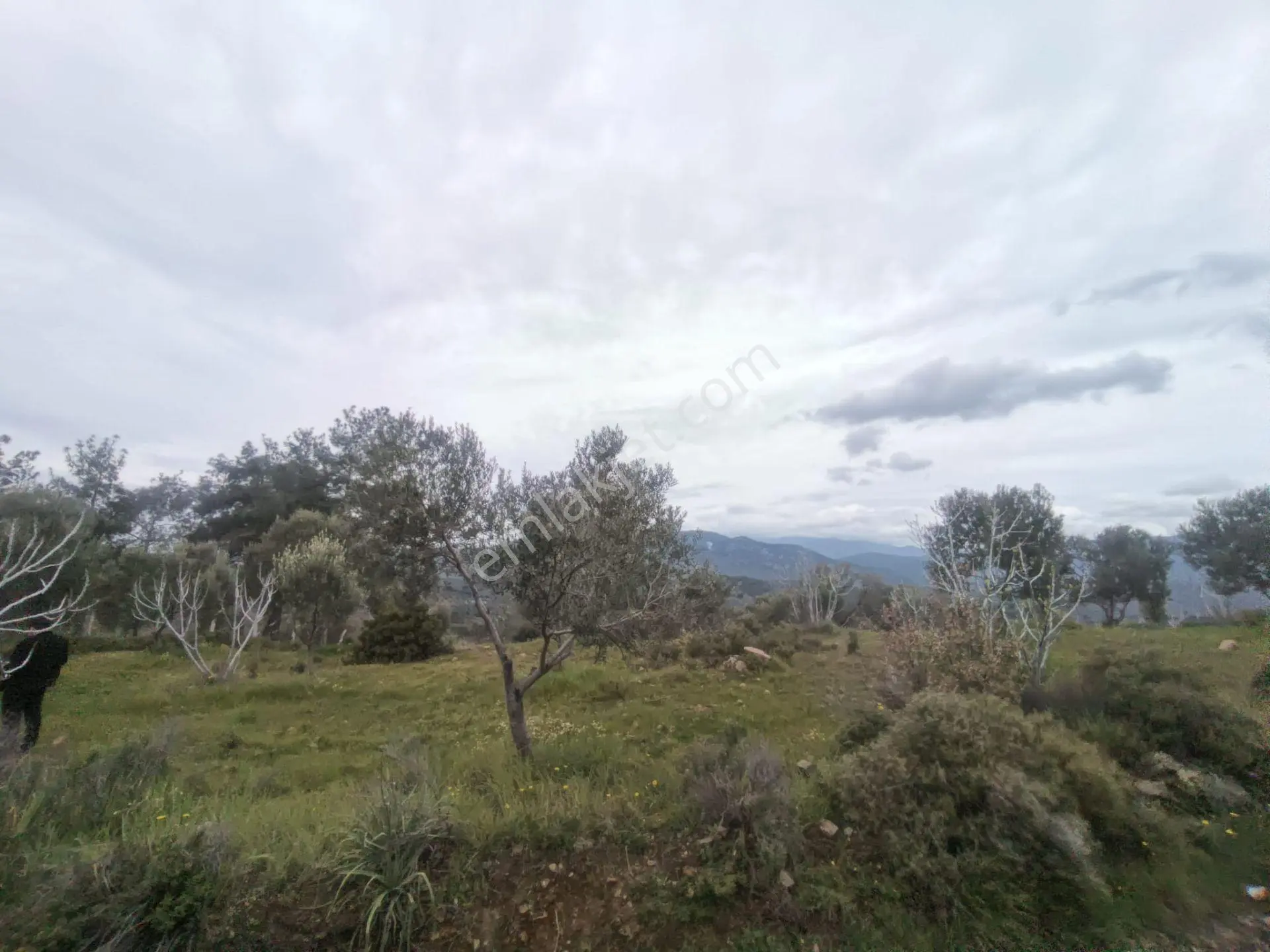 Edremit'te Deniz Manzaralı Satılık Tarla 1520m² — fotoğraf 18