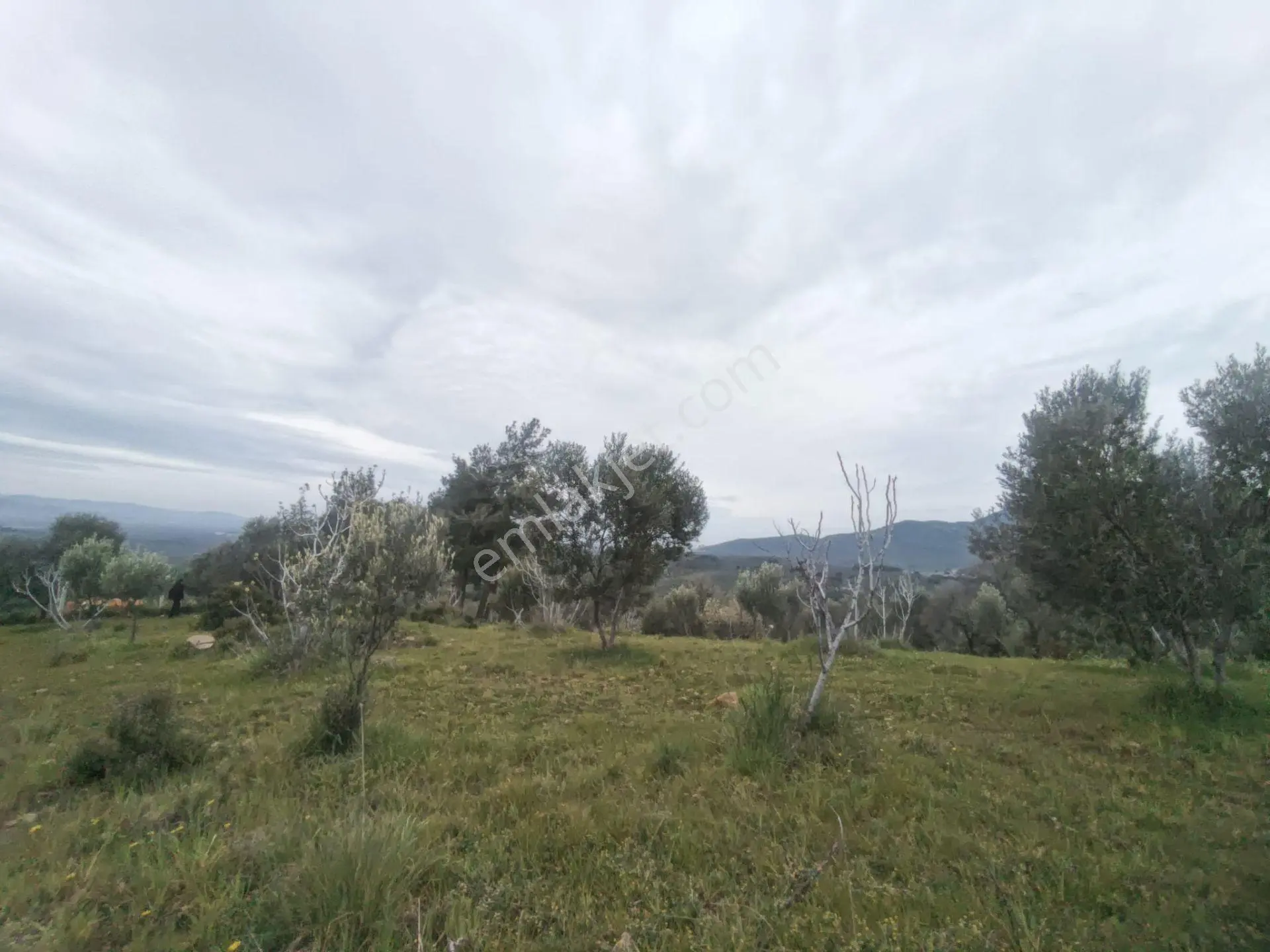 Edremit'te Deniz Manzaralı Satılık Tarla 1520m² — fotoğraf 20