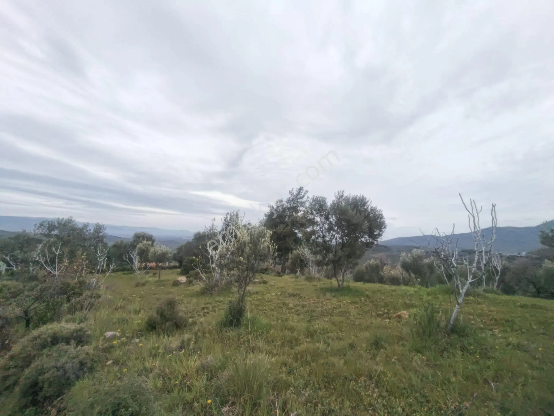 Edremit'te Deniz Manzaralı Satılık Tarla 1520m² — fotoğraf 21