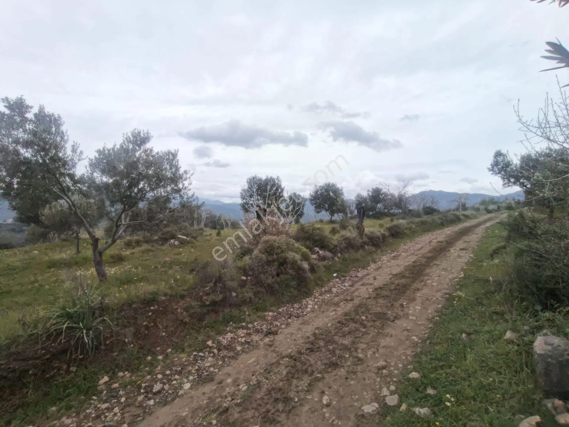 Edremit'te Deniz Manzaralı Satılık Tarla 1520m² — fotoğraf 23