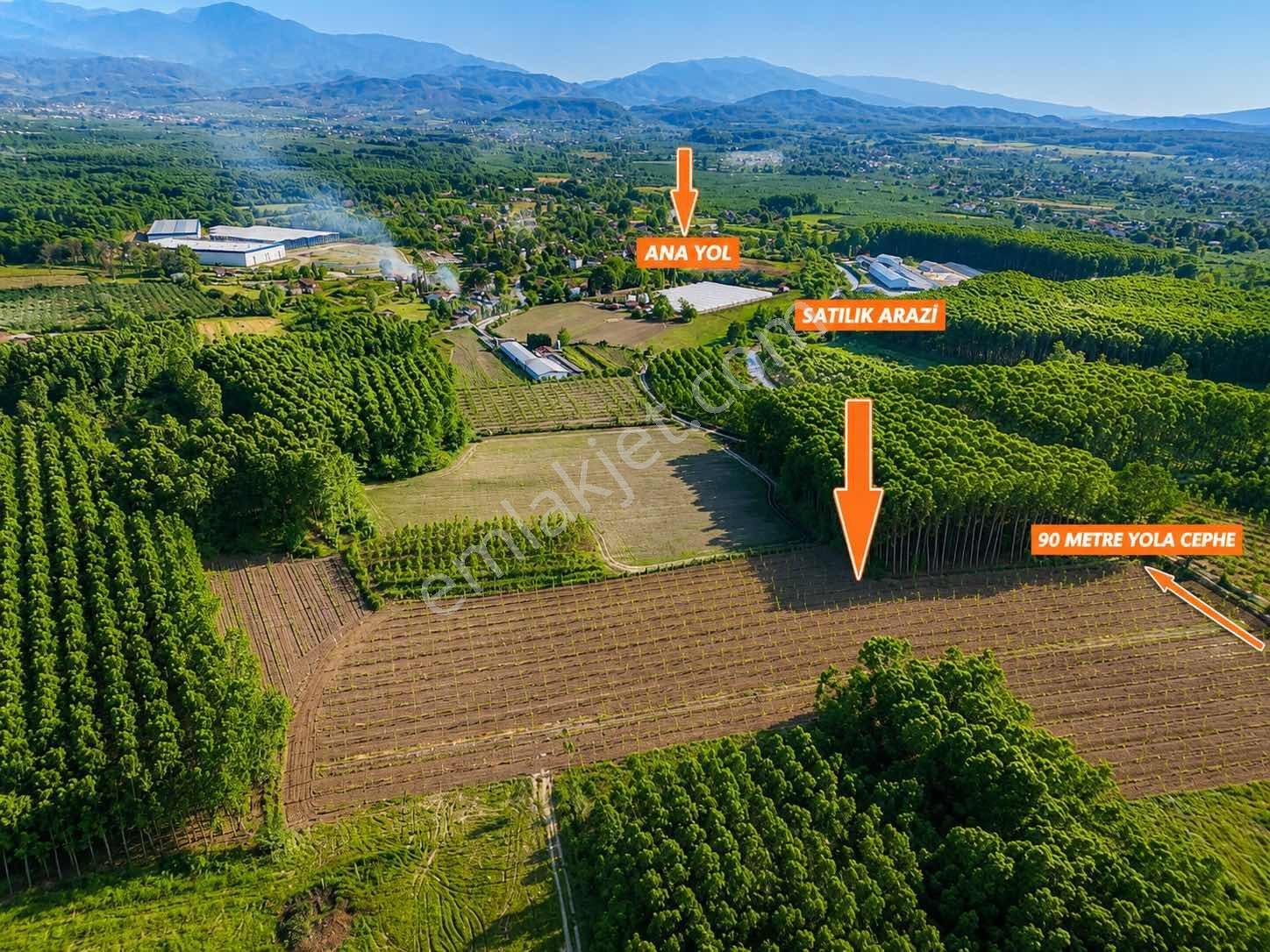Mg Emlaktan İmar Sınırına 500 M 3 Parça Satılık Arazi