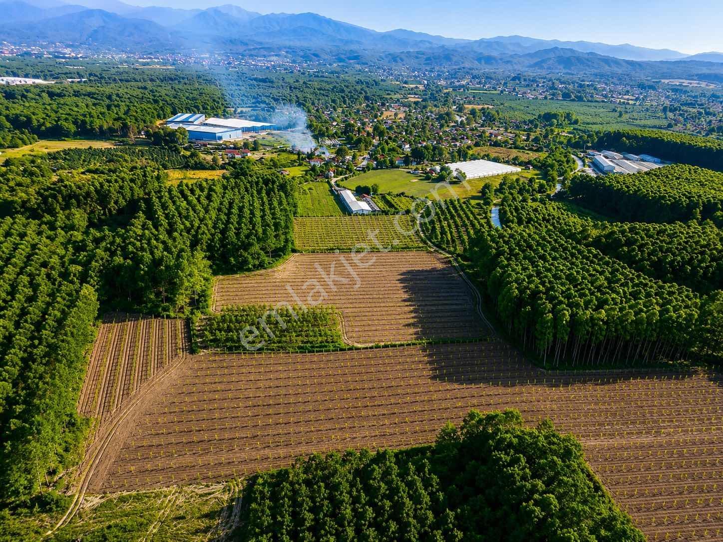 Mg Emlaktan İmar Sınırına 500 M 3 Parça Satılık Arazi — fotoğraf 6