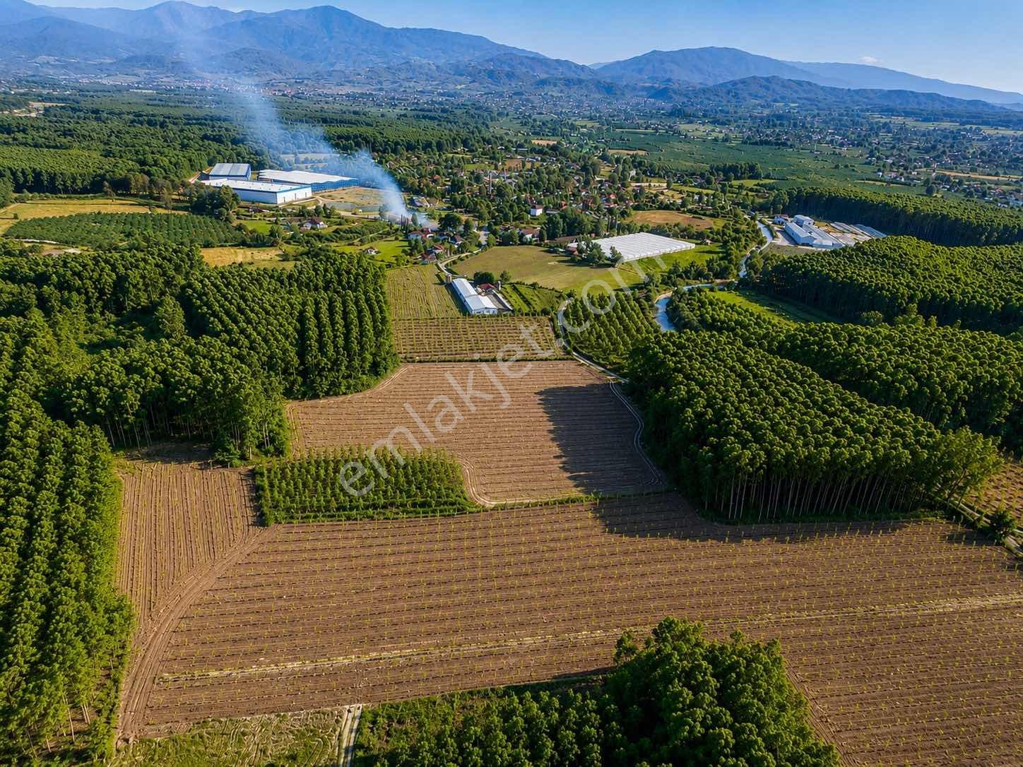 Mg Emlaktan İmar Sınırına 500 M 3 Parça Satılık Arazi — fotoğraf 7