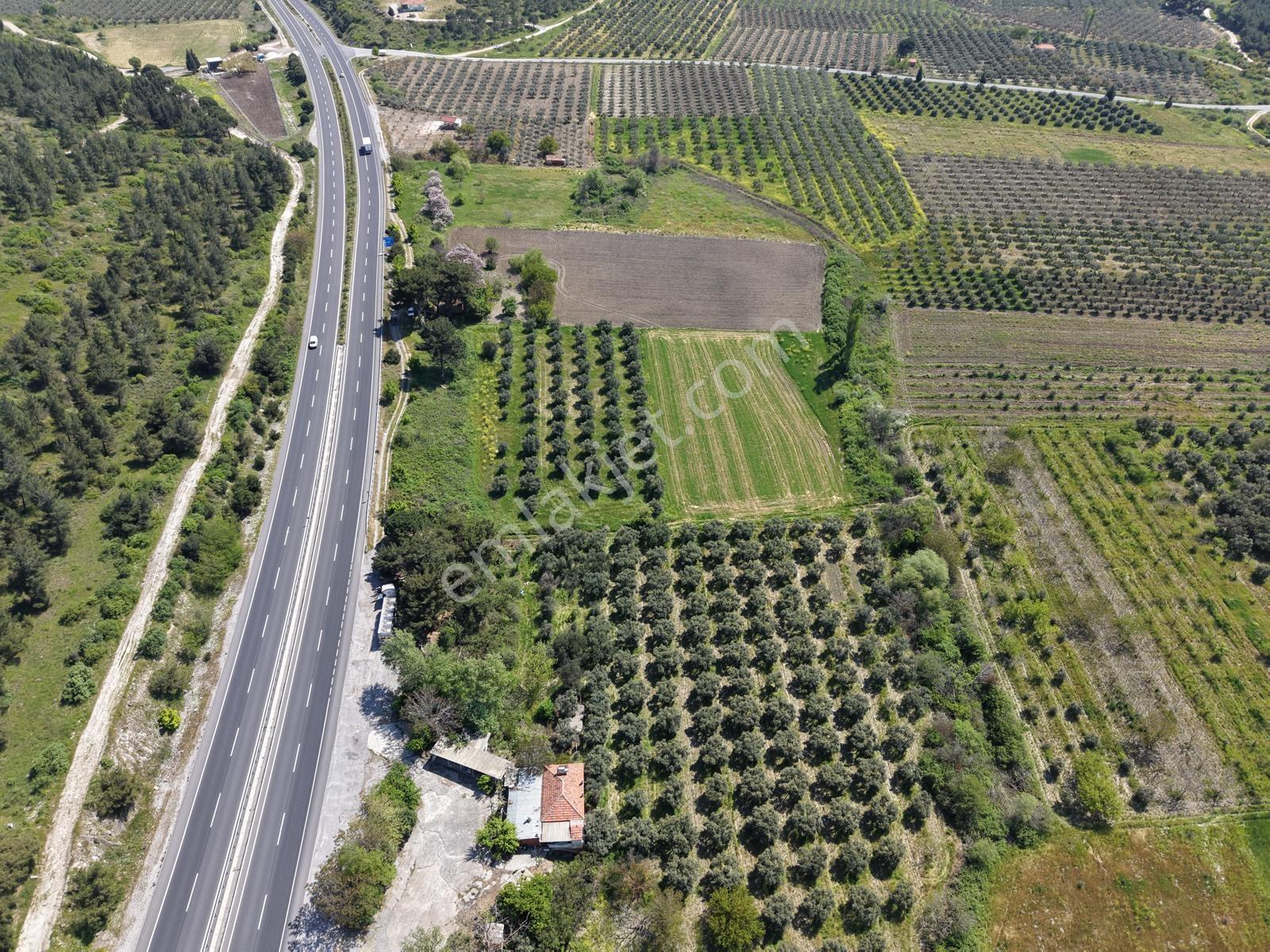 Kırkağaç İlyaslarda Balıkesir İstanbul Çevre Yola Cepheli Arsa!! — fotoğraf 4