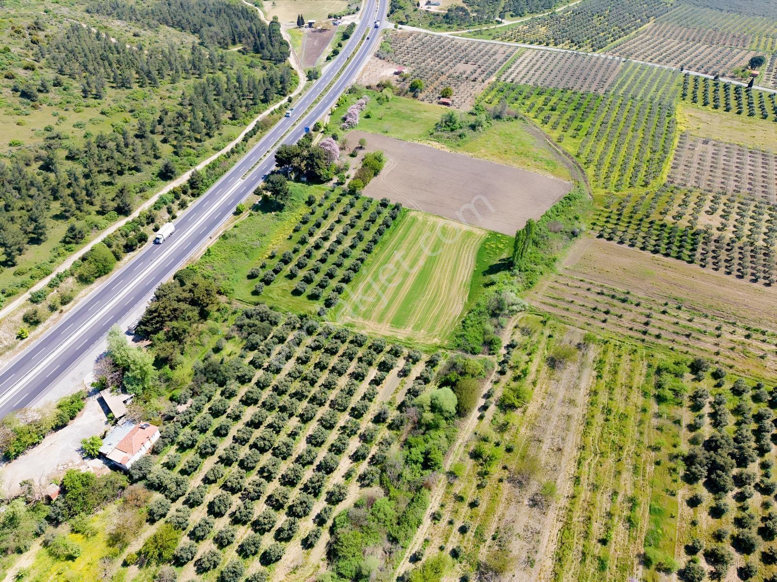 Kırkağaç İlyaslarda Balıkesir İstanbul Çevre Yola Cepheli Arsa!! — fotoğraf 6