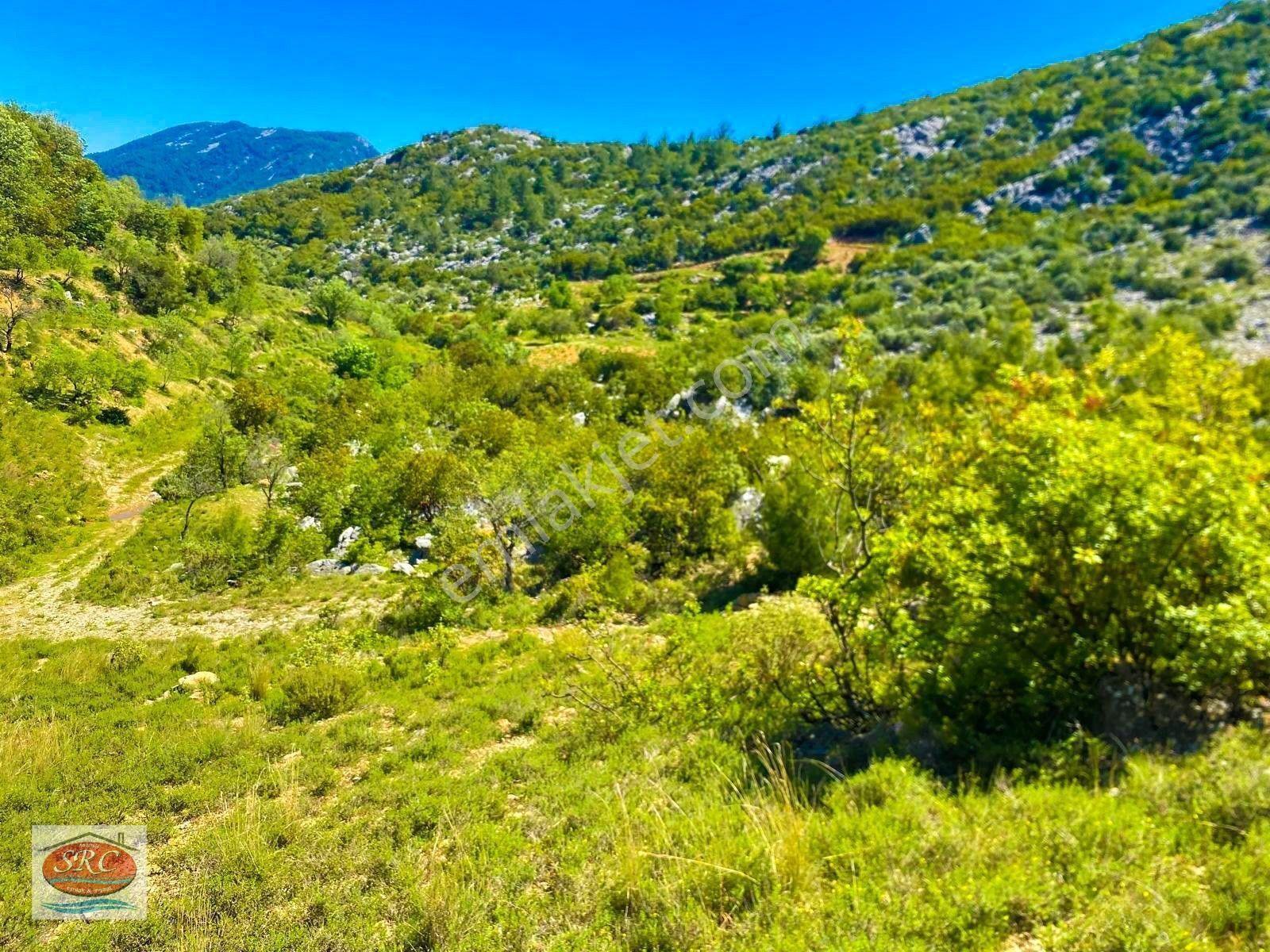 Mersin Anamur Karaçukur Müstakil Tapulu Satılık Tarla(Fiyatını Düşürdük)
