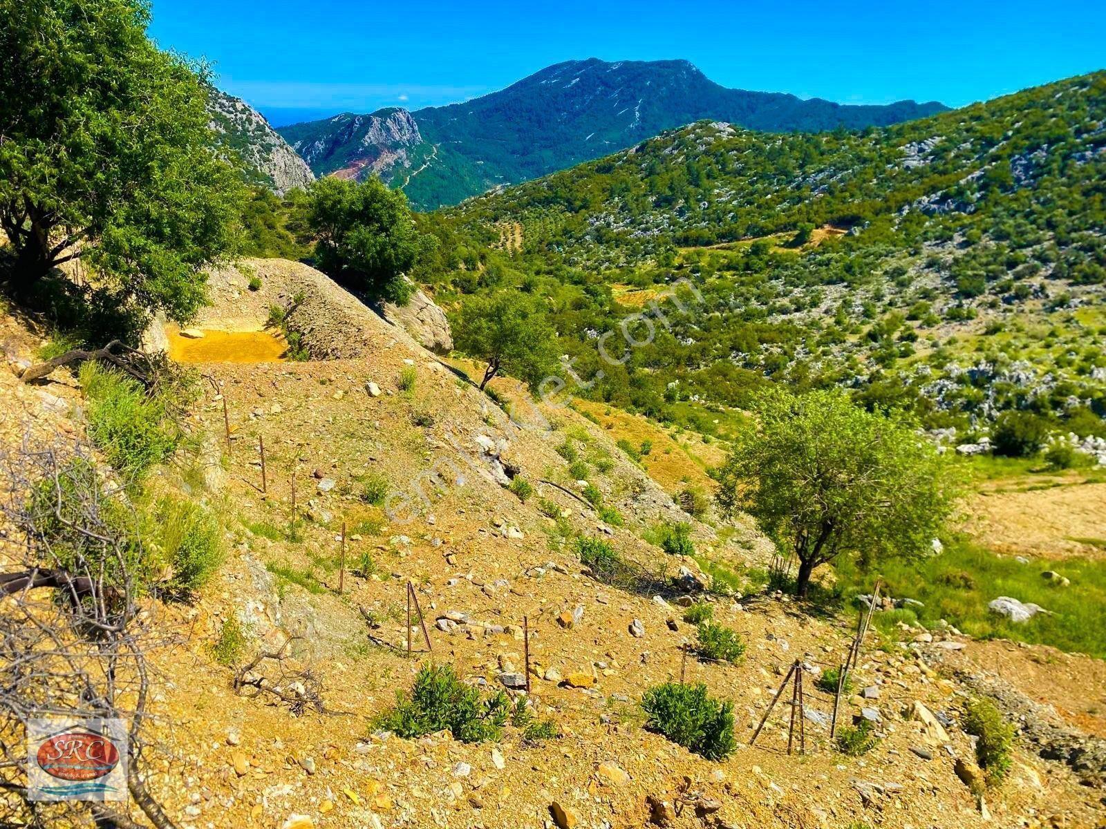 Mersin Anamur Karaçukur Müstakil Tapulu Satılık Tarla(fiyatını Düşürdük) — fotoğraf 8