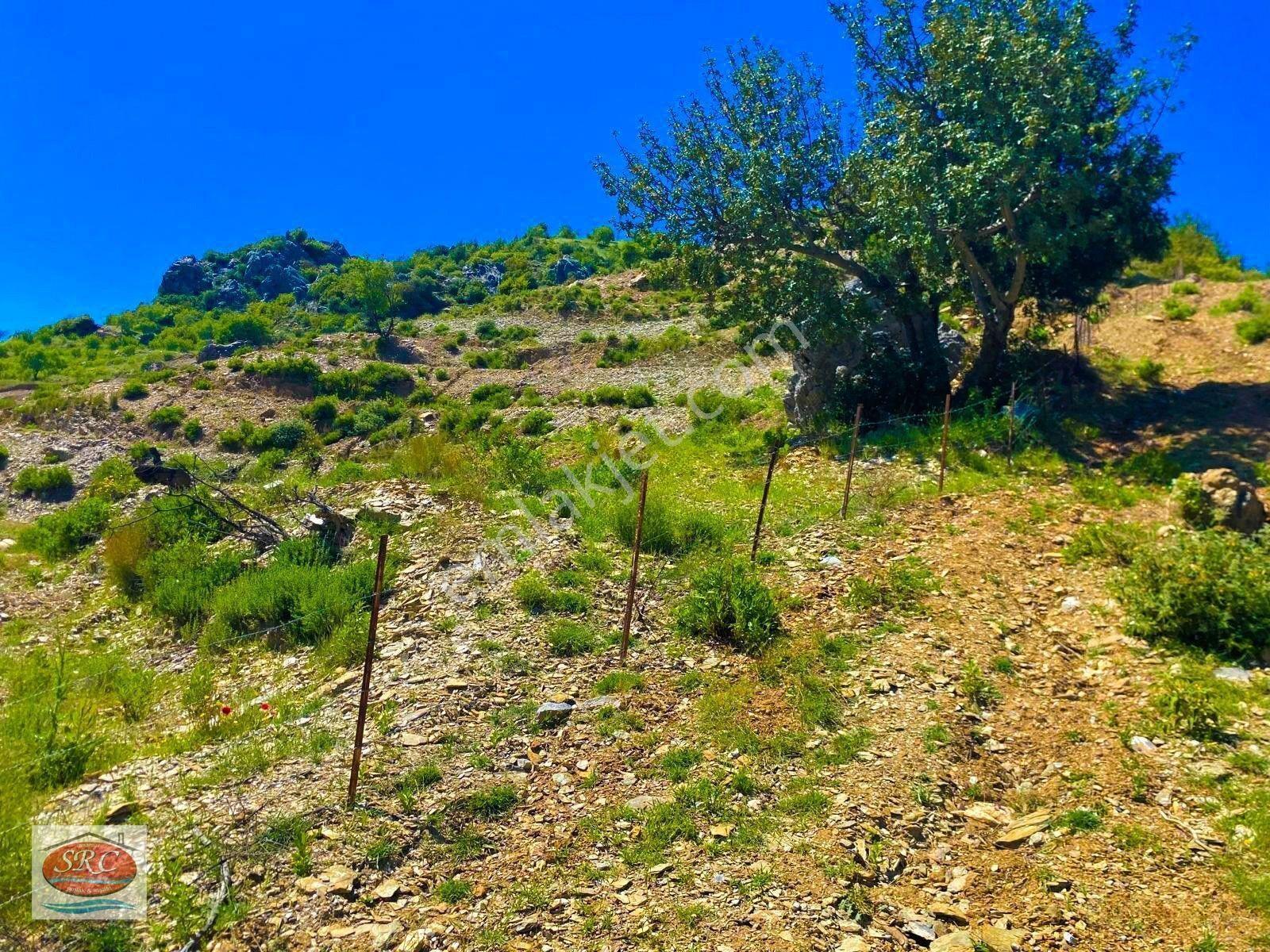 Mersin Anamur Karaçukur Müstakil Tapulu Satılık Tarla(fiyatını Düşürdük) — fotoğraf 9