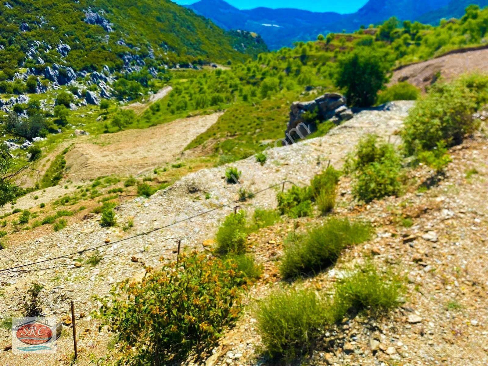 Mersin Anamur Karaçukur Müstakil Tapulu Satılık Tarla(fiyatını Düşürdük) — fotoğraf 12